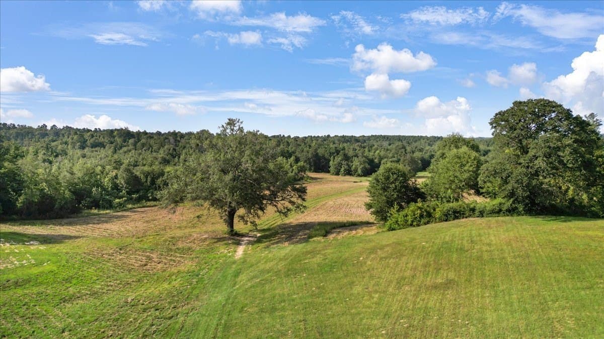 77 acres in Upshur County - photo 4