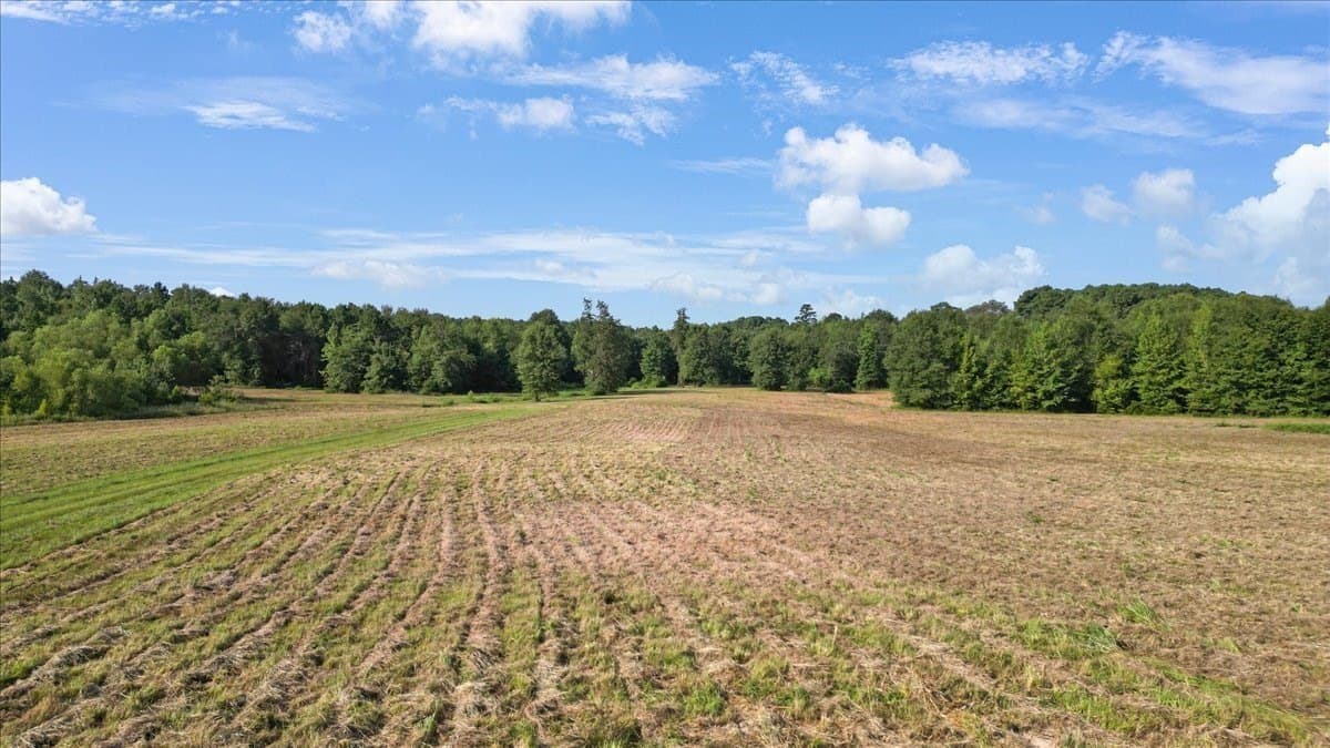 77 acres in Upshur County - photo 31