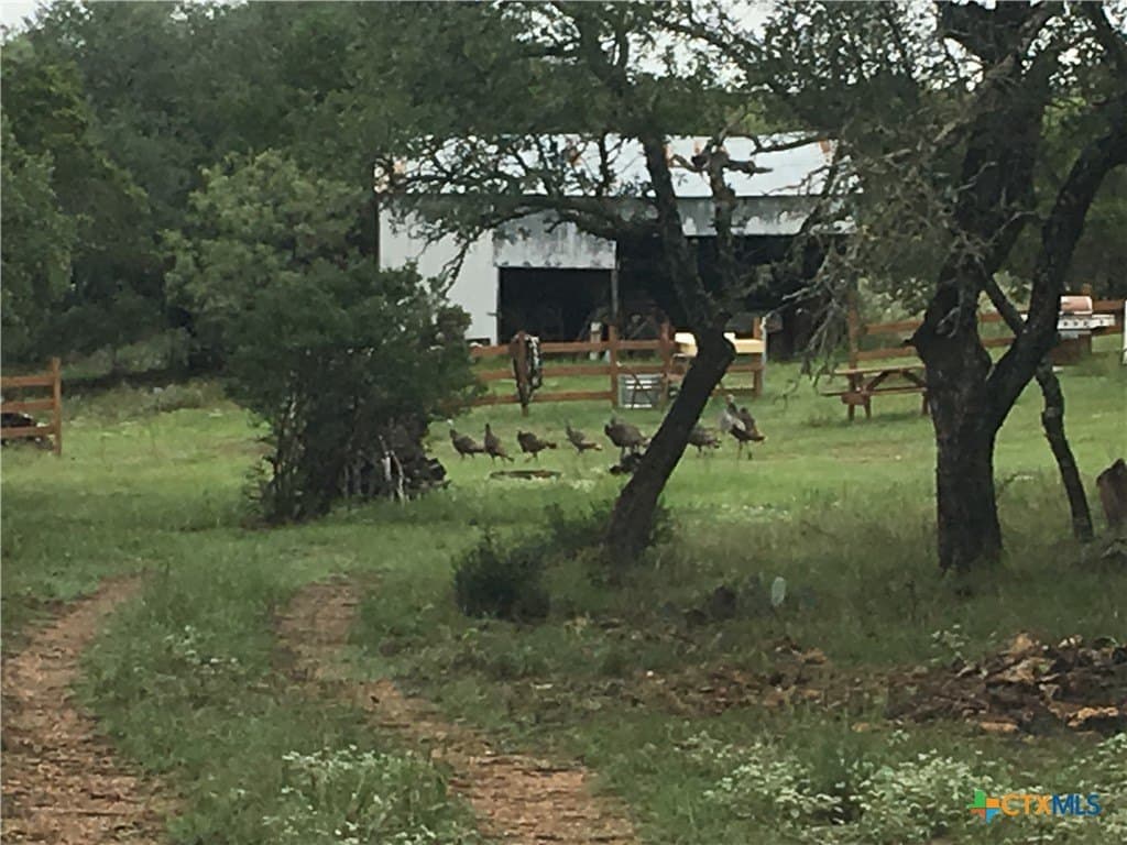 60.09 acres in Lampasas County gallery image 3