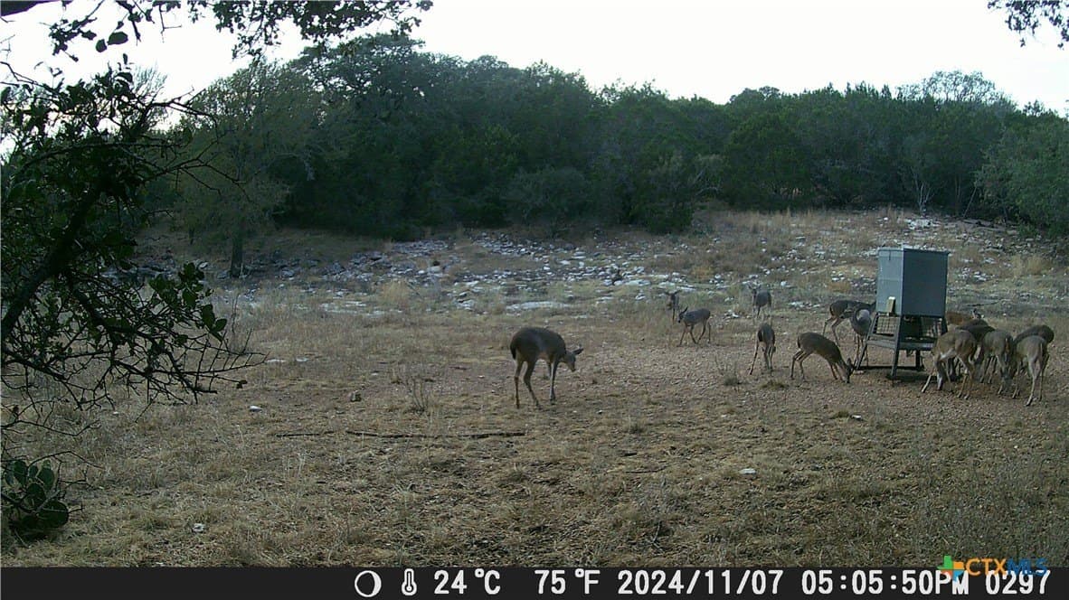 60.09 acres in Lampasas County gallery image 4