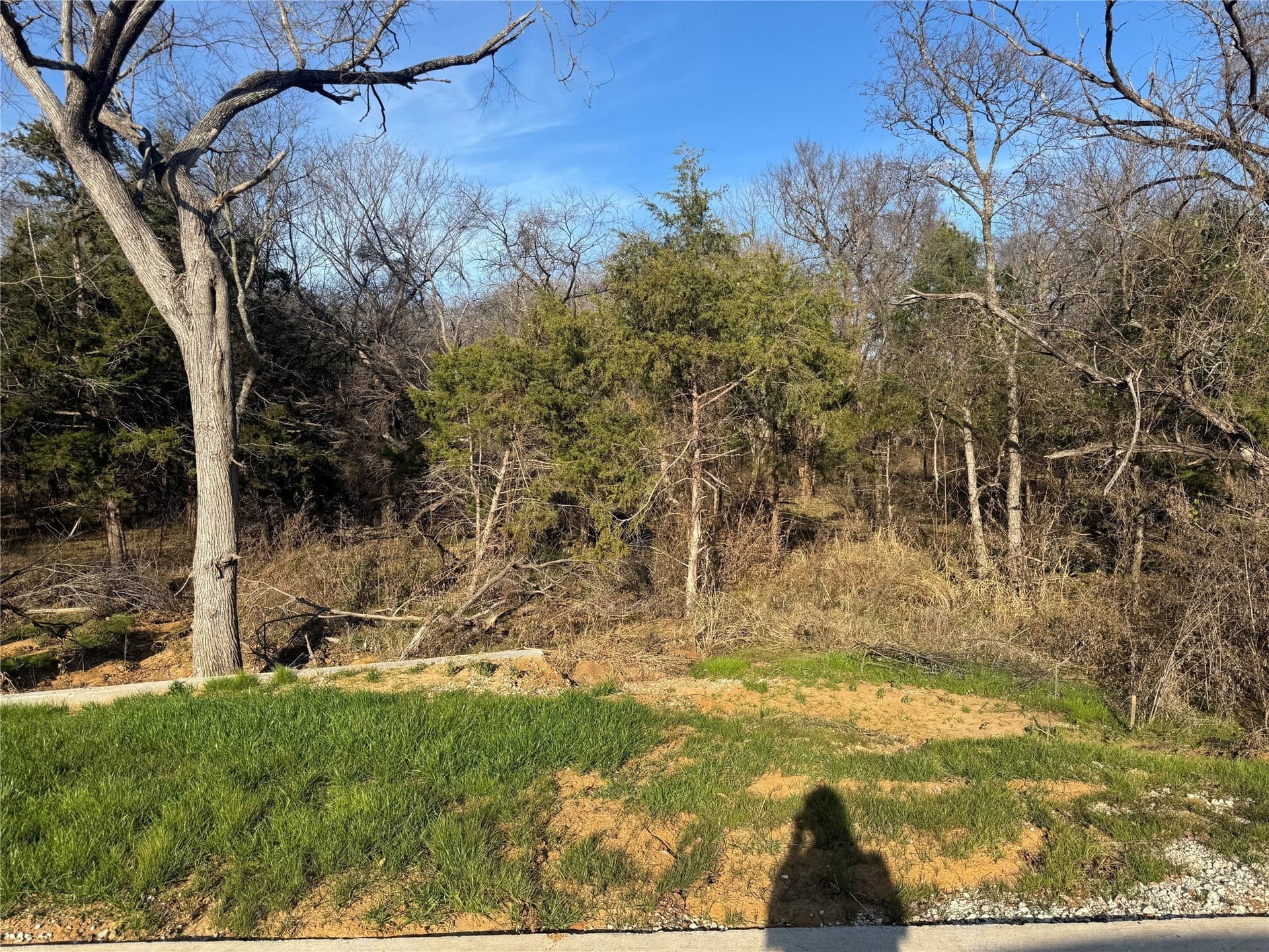 0.21 acres in Grayson County