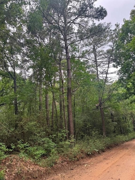 122 acres in Shelby County gallery image 2