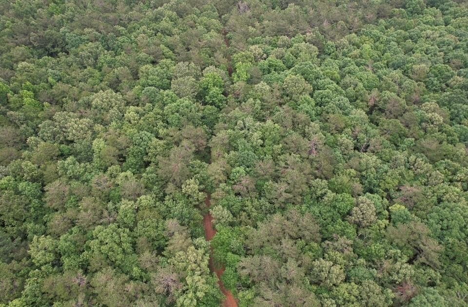 122 acres in Shelby County gallery image 3