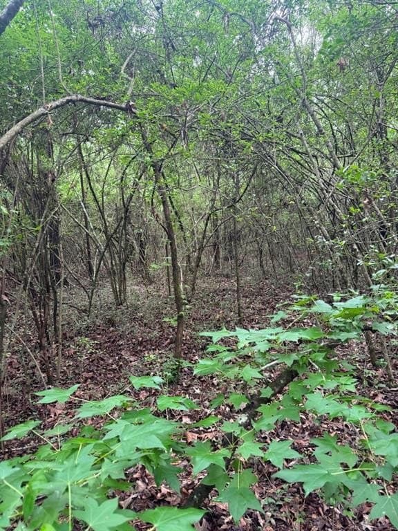 122 acres in Shelby County featured view