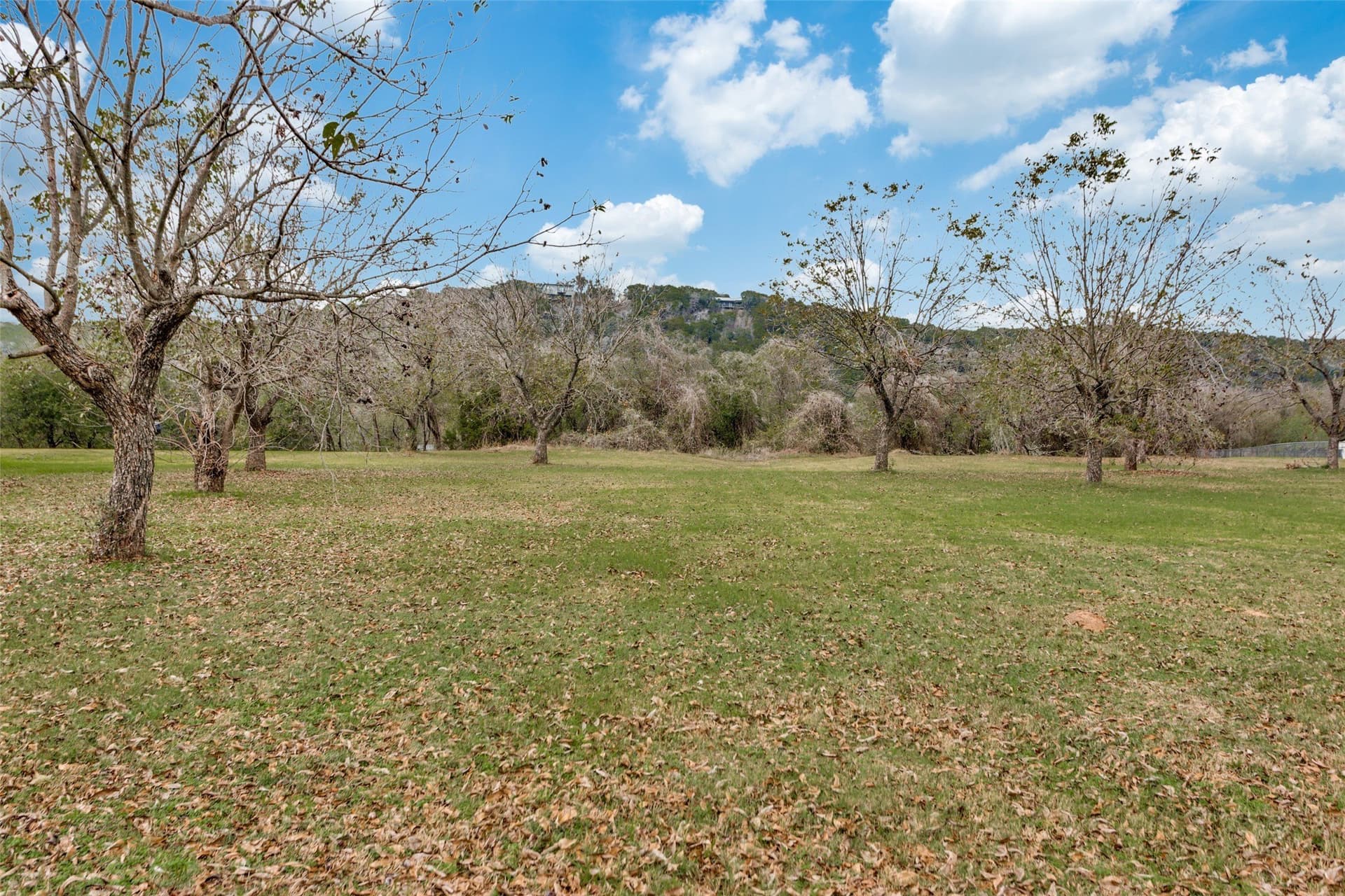 2.21 acres in Hood County gallery image 3