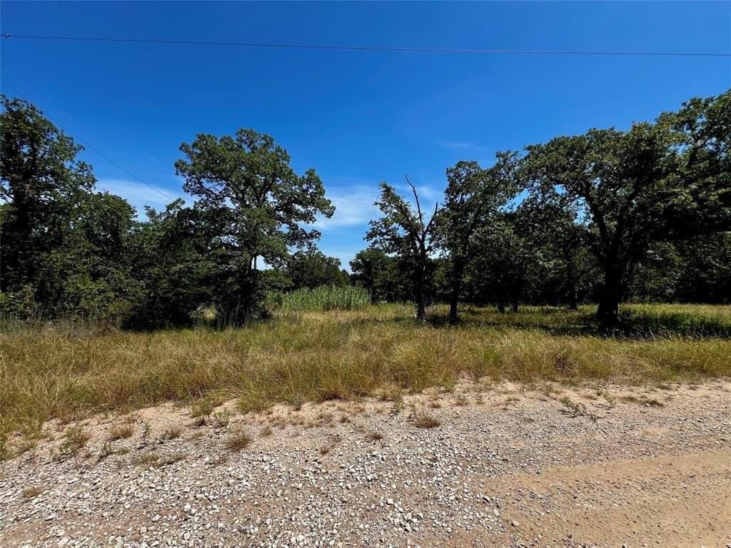 0.3 acres in Montague County featured view