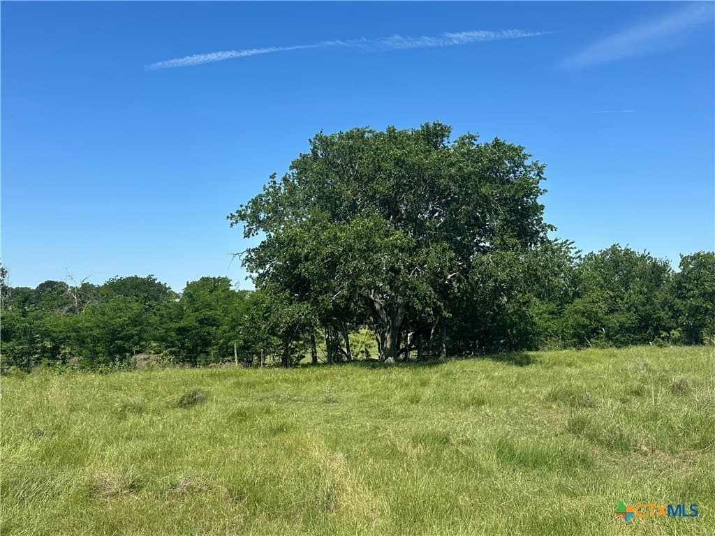 92.7 acres in McLennan County - photo 44