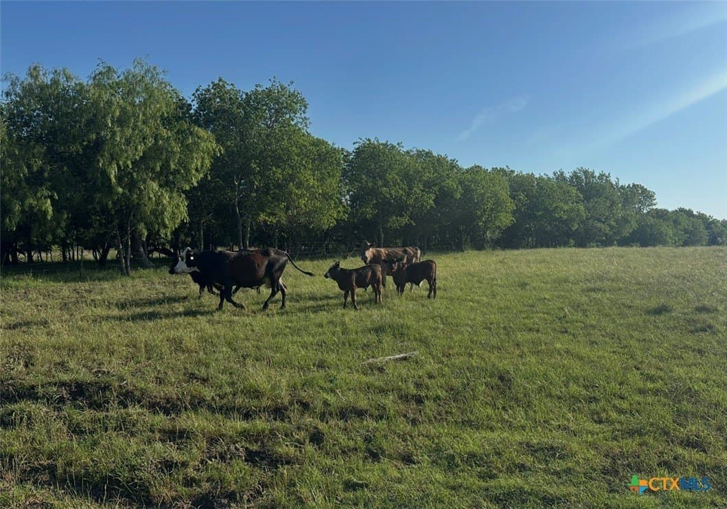92.7 acres in McLennan County - photo 26