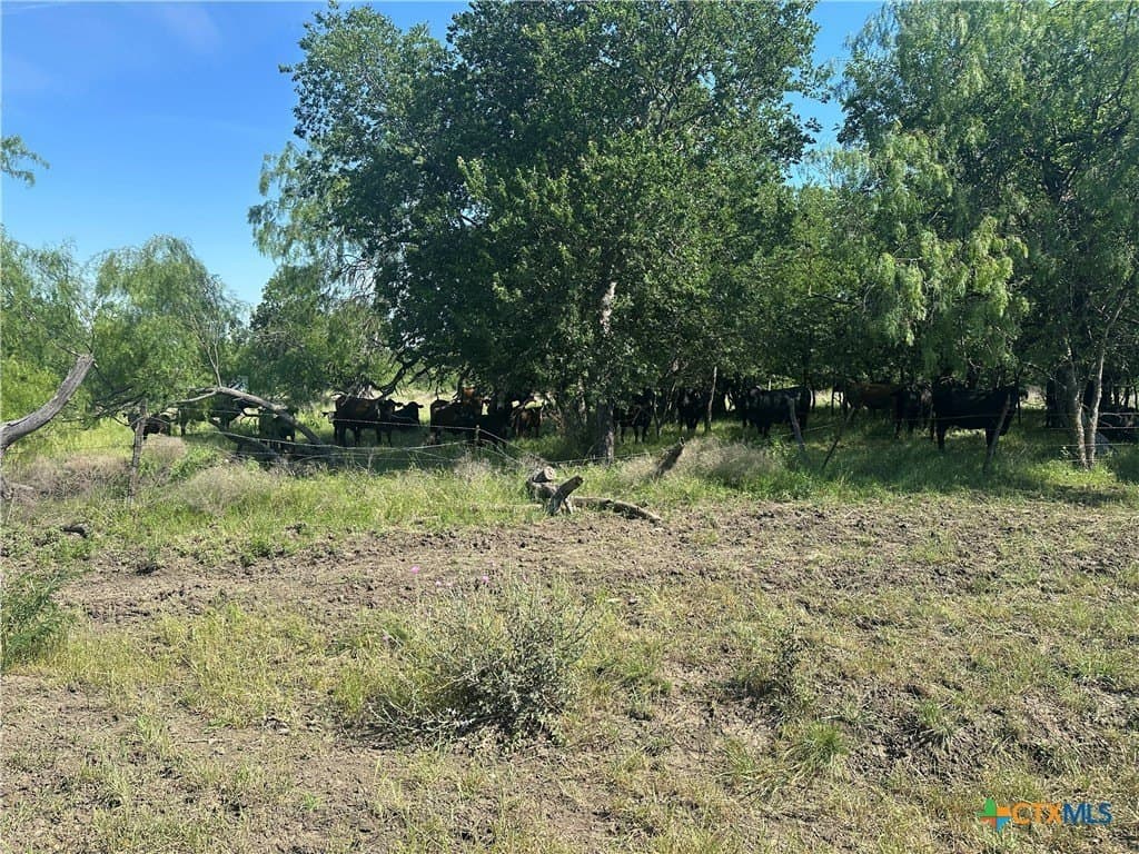 92.7 acres in McLennan County - photo 36