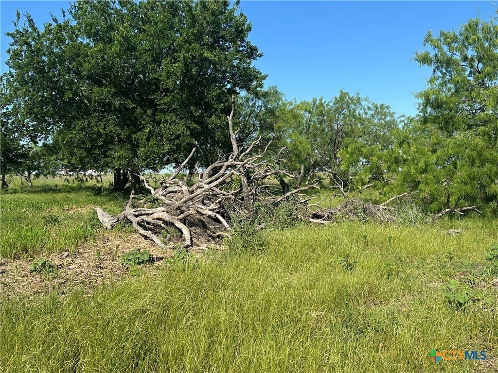 92.7 acres in McLennan County - photo 27