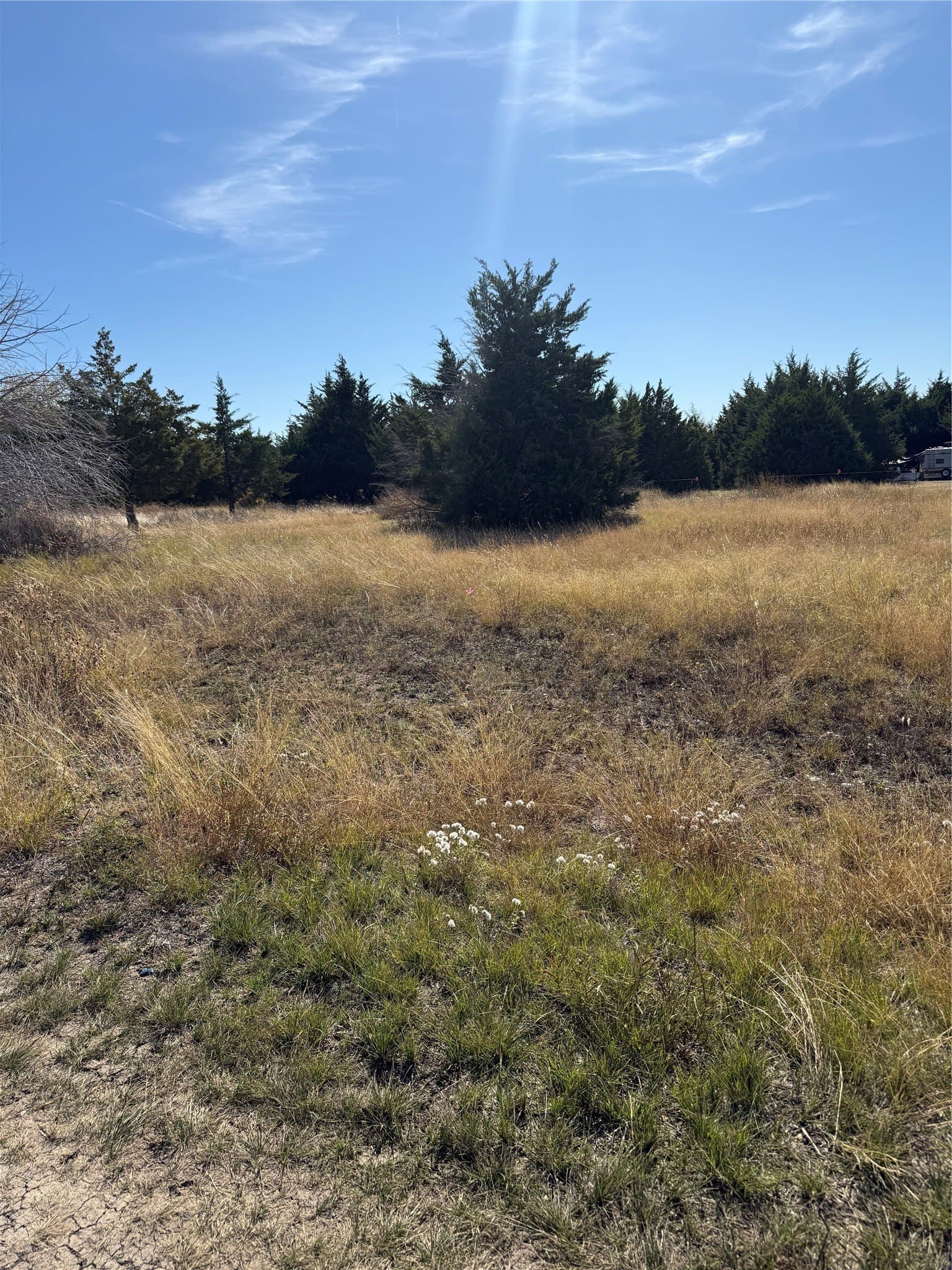 0.23 acres in Ellis County gallery image 2