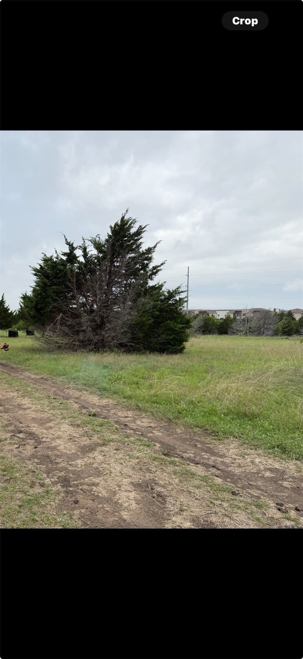 0.23 acres in Ellis County gallery image 3