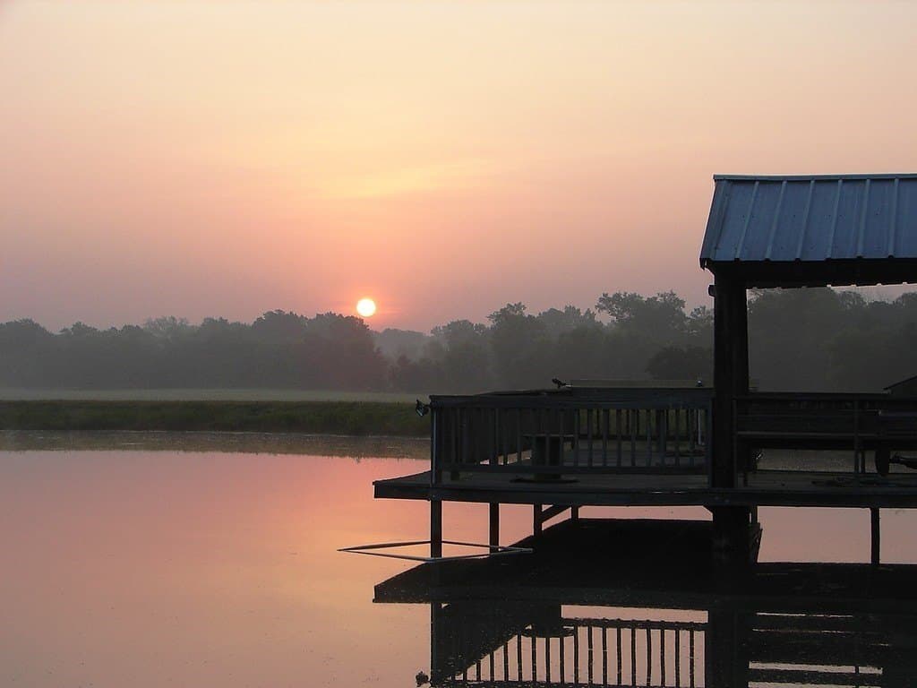 76.8 acres in Austin County - photo 10