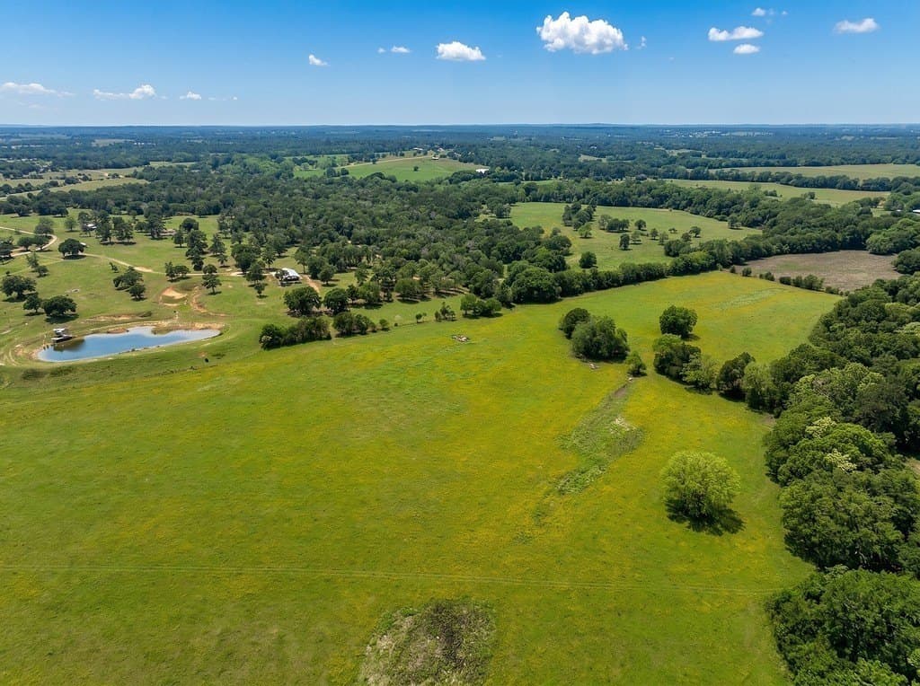 76.8 acres in Austin County - photo 11