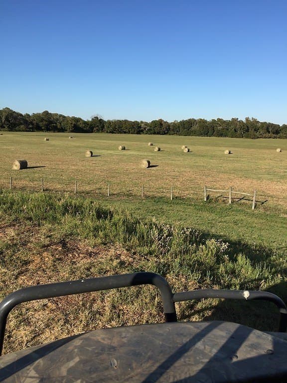76.8 acres in Austin County - photo 16