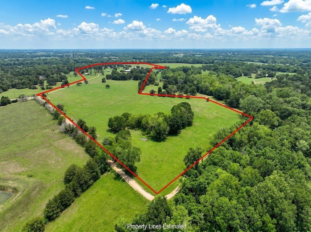 76.8 acres in Austin County - photo 15
