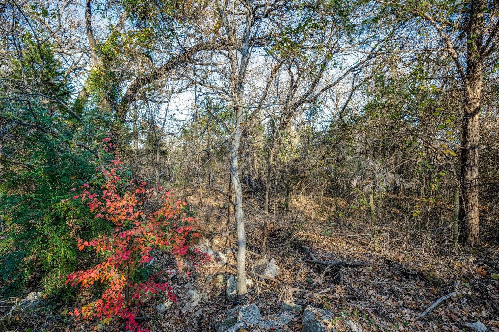 2.63 acres in Denton County gallery image 3