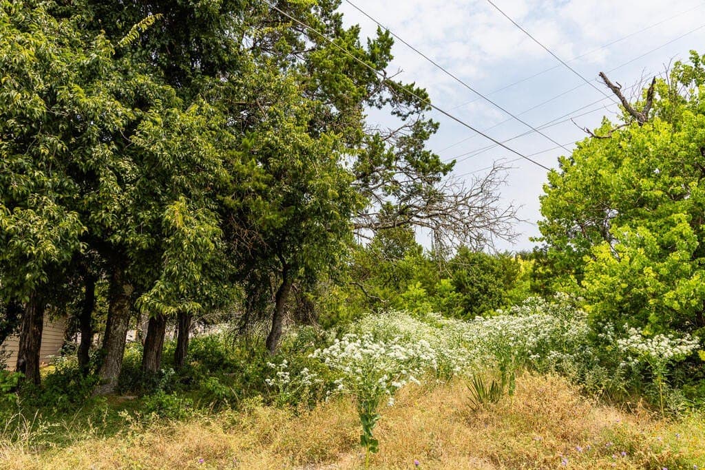 0.18 acres in Kerr County - photo 4