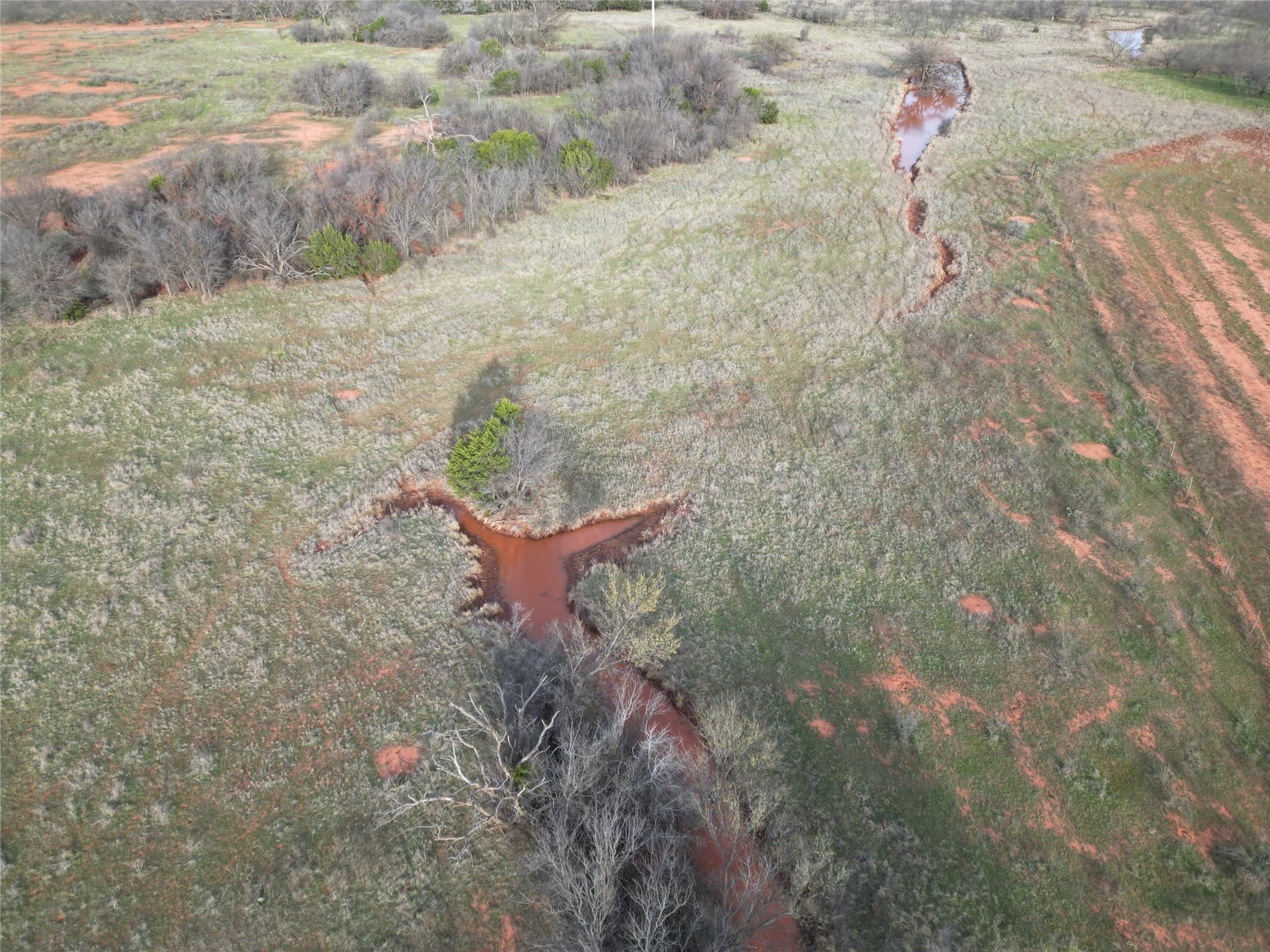 80 acres in Taylor County gallery image 2