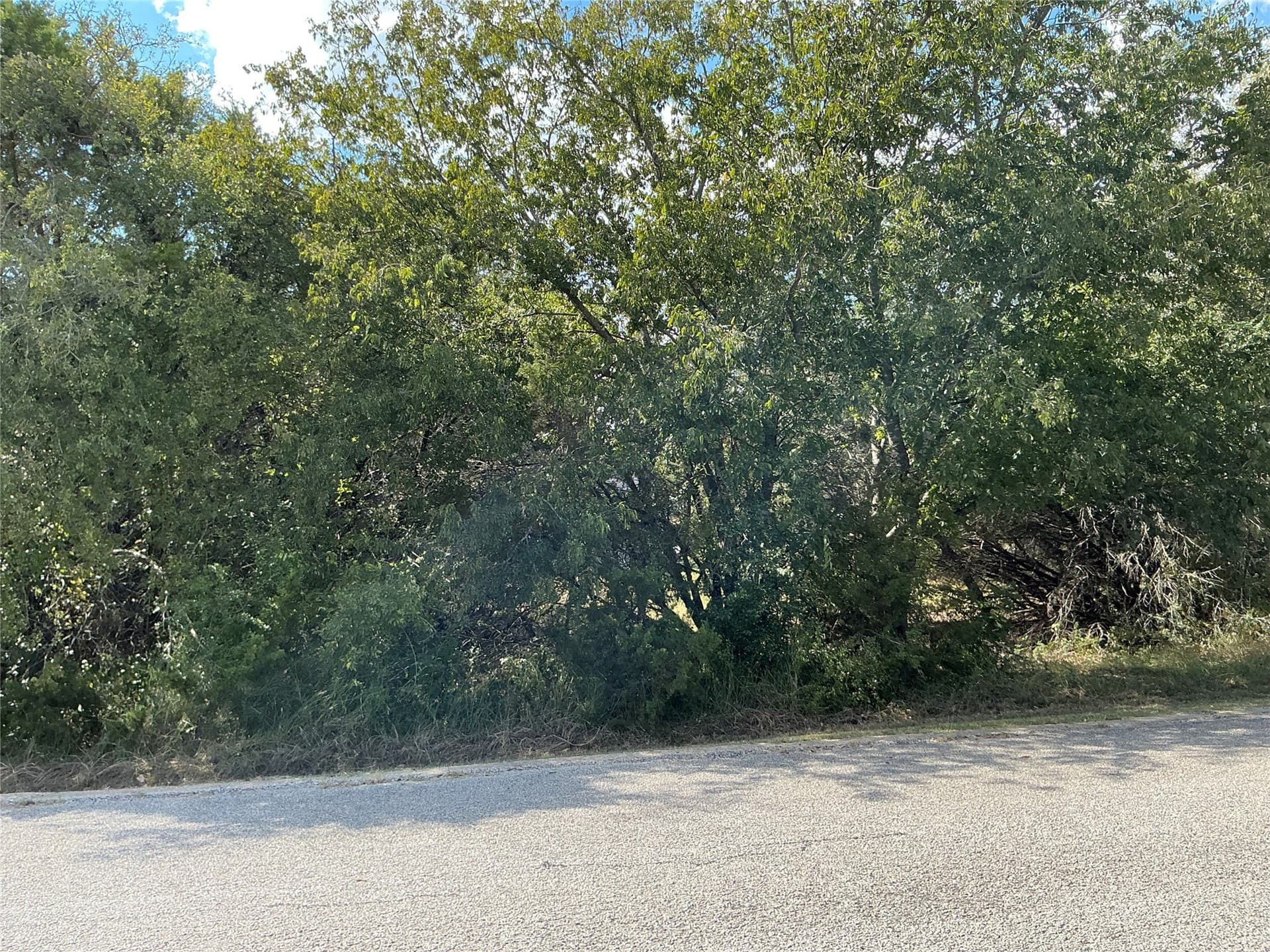 0.3 acres in Hill County - photo 15