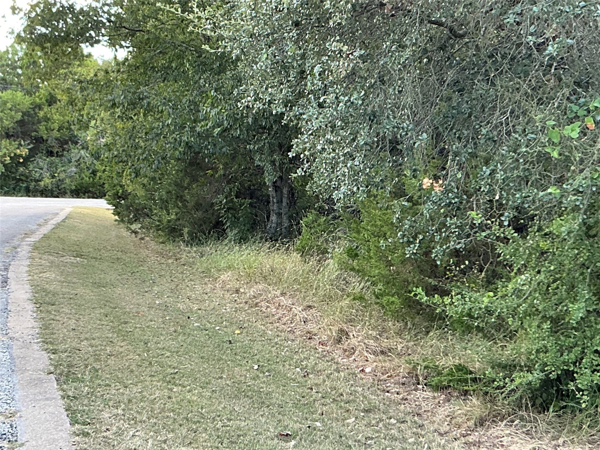 0.3 acres in Hill County - photo 25