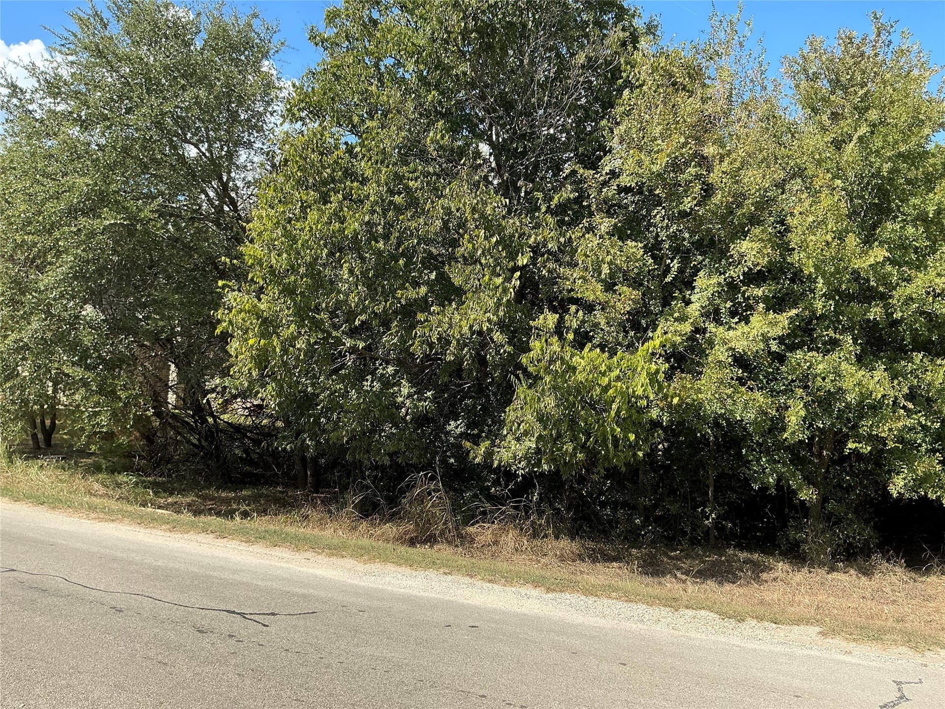 0.3 acres in Hill County - photo 6