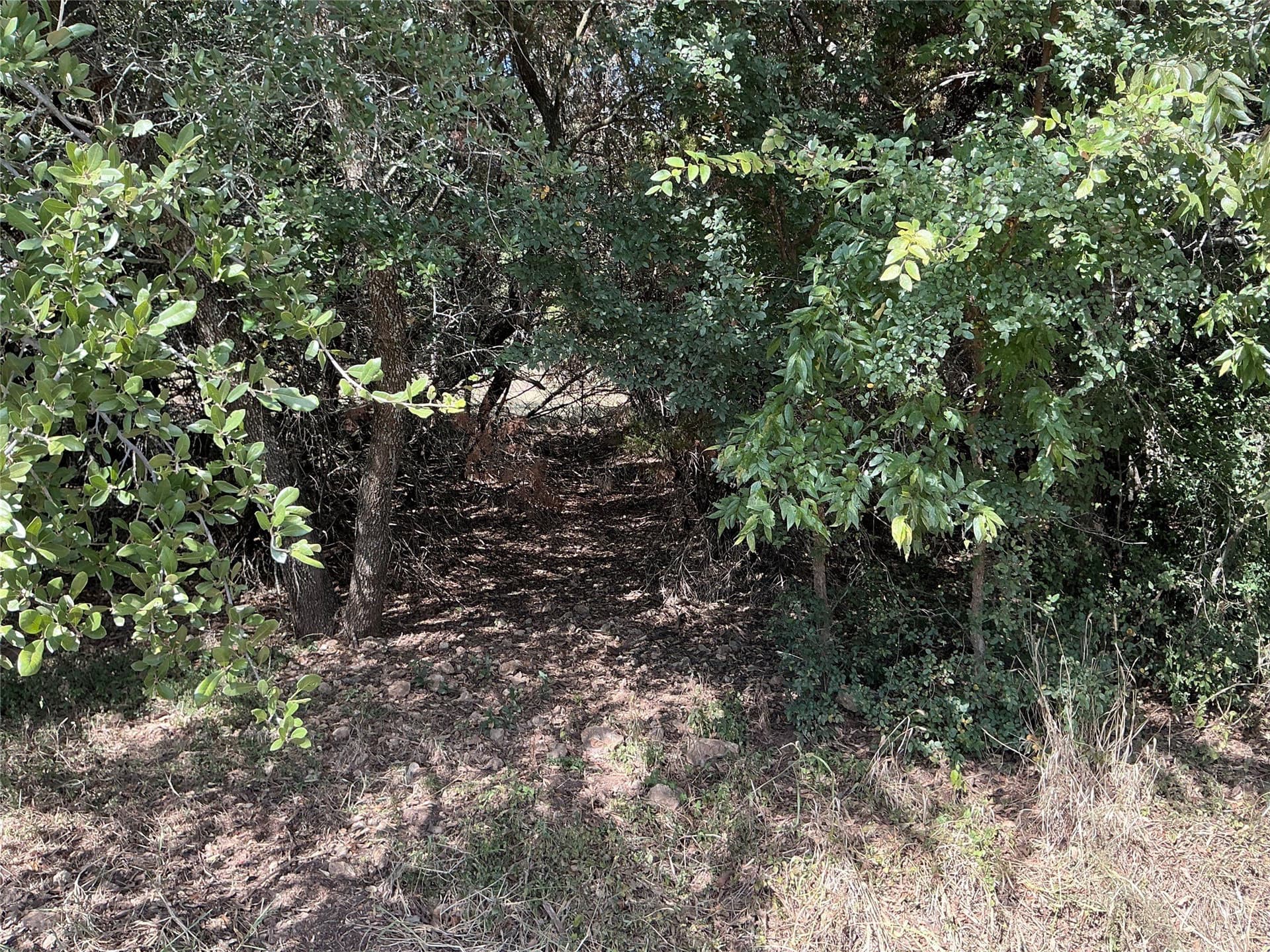 0.3 acres in Hill County - photo 12