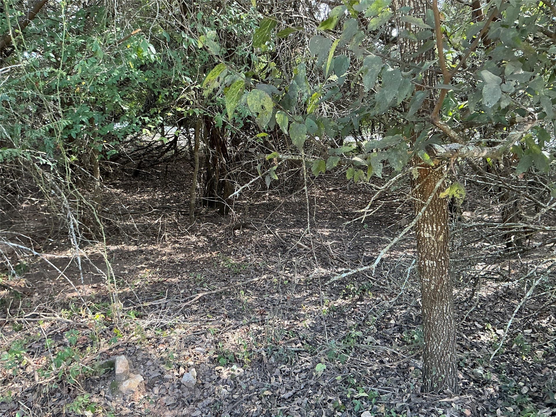 0.3 acres in Hill County - photo 21