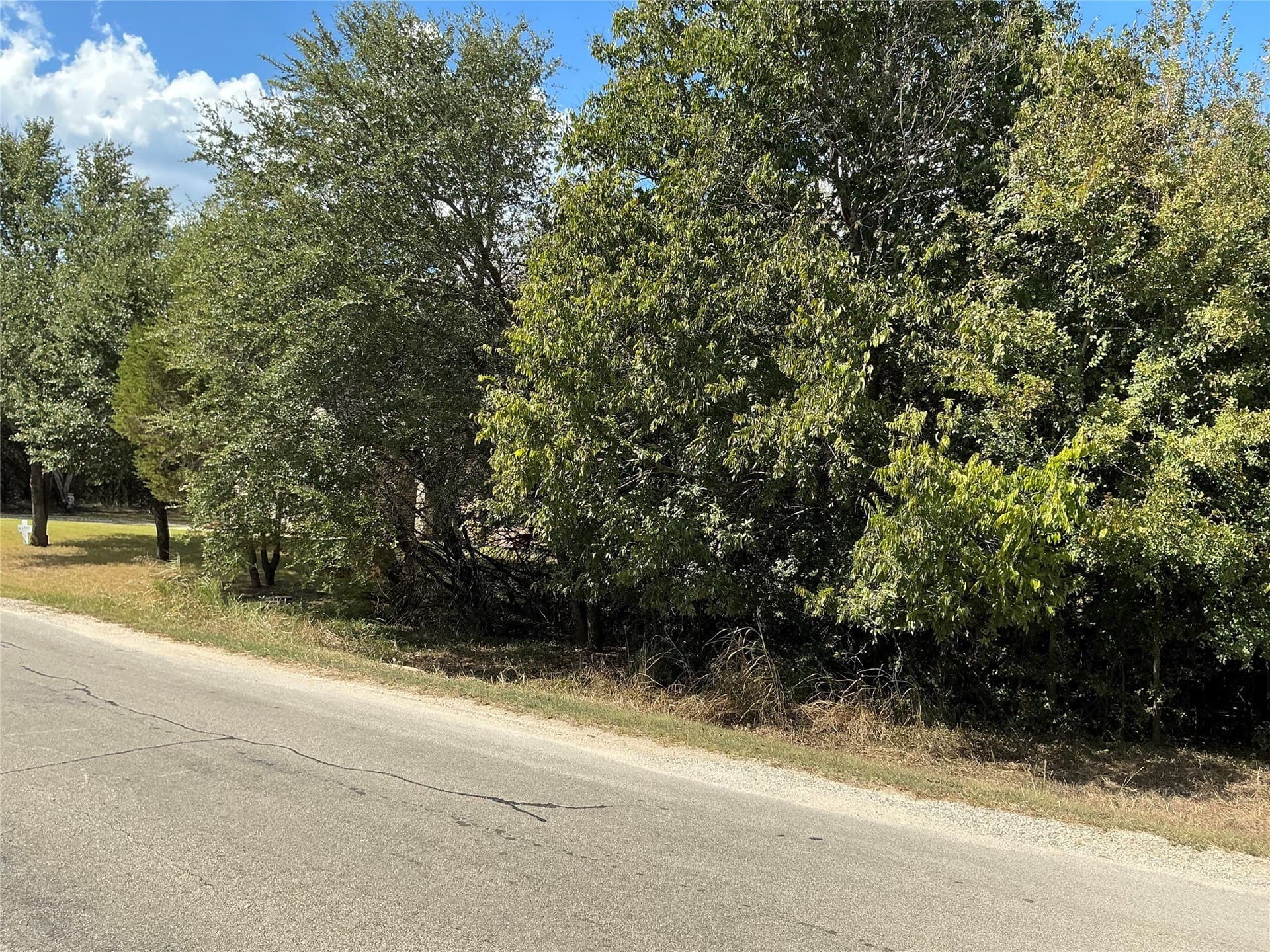 0.3 acres in Hill County - photo 7