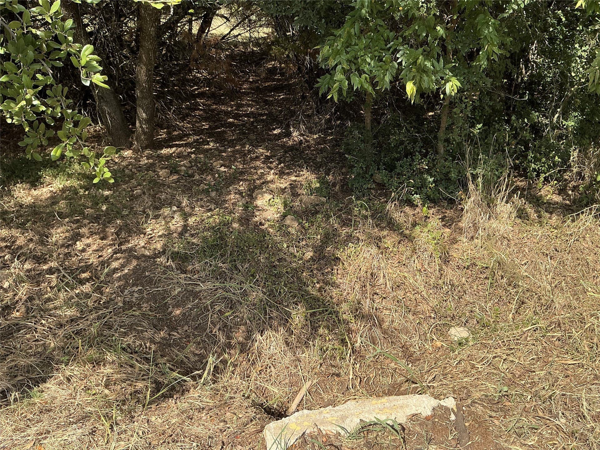 0.3 acres in Hill County - photo 11