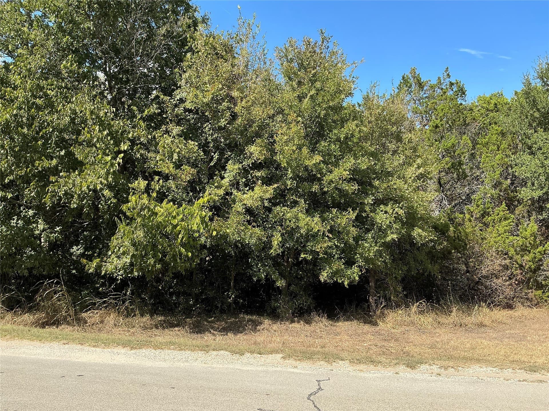 0.3 acres in Hill County - photo 5
