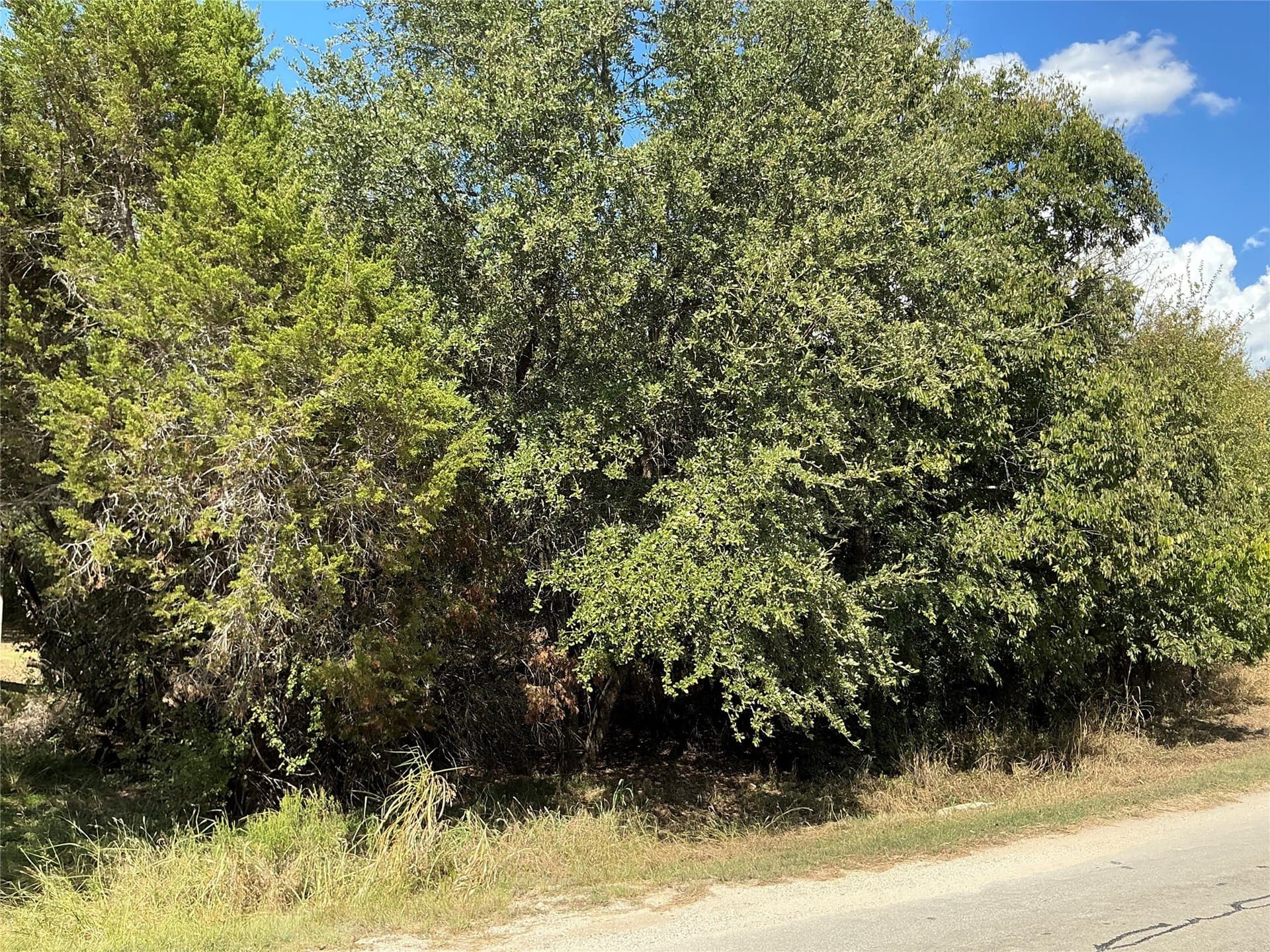 0.3 acres in Hill County - photo 8