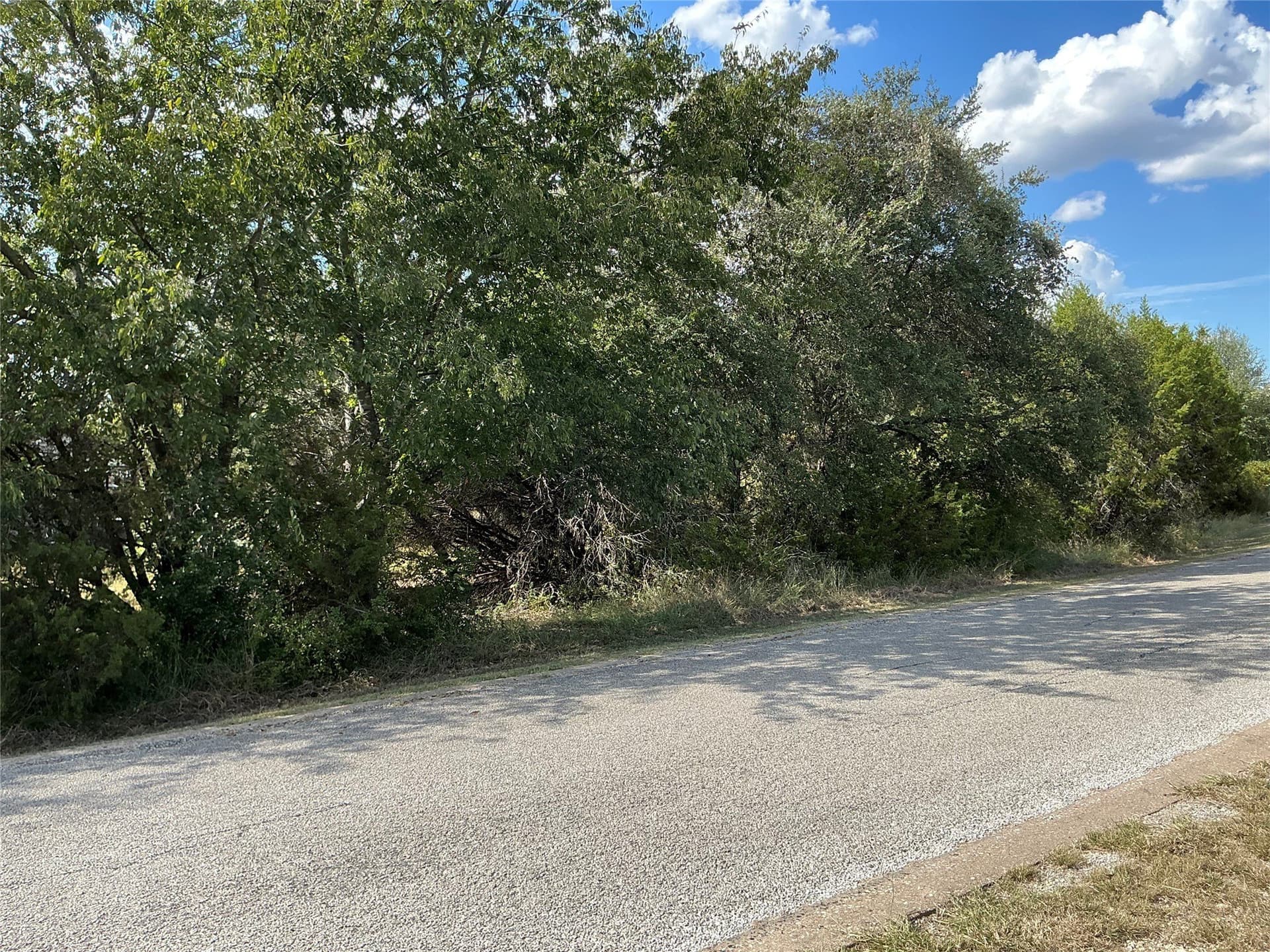 0.3 acres in Hill County - photo 16