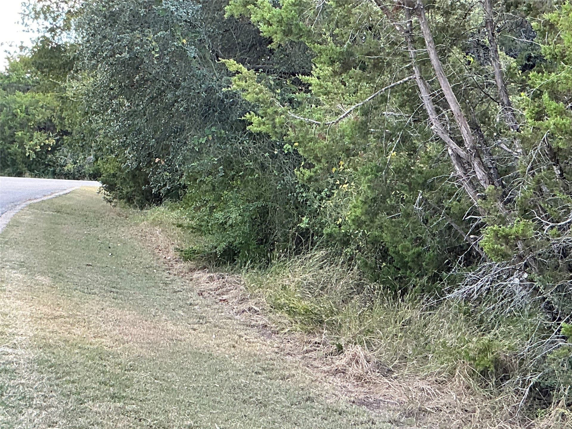 0.3 acres in Hill County - photo 24