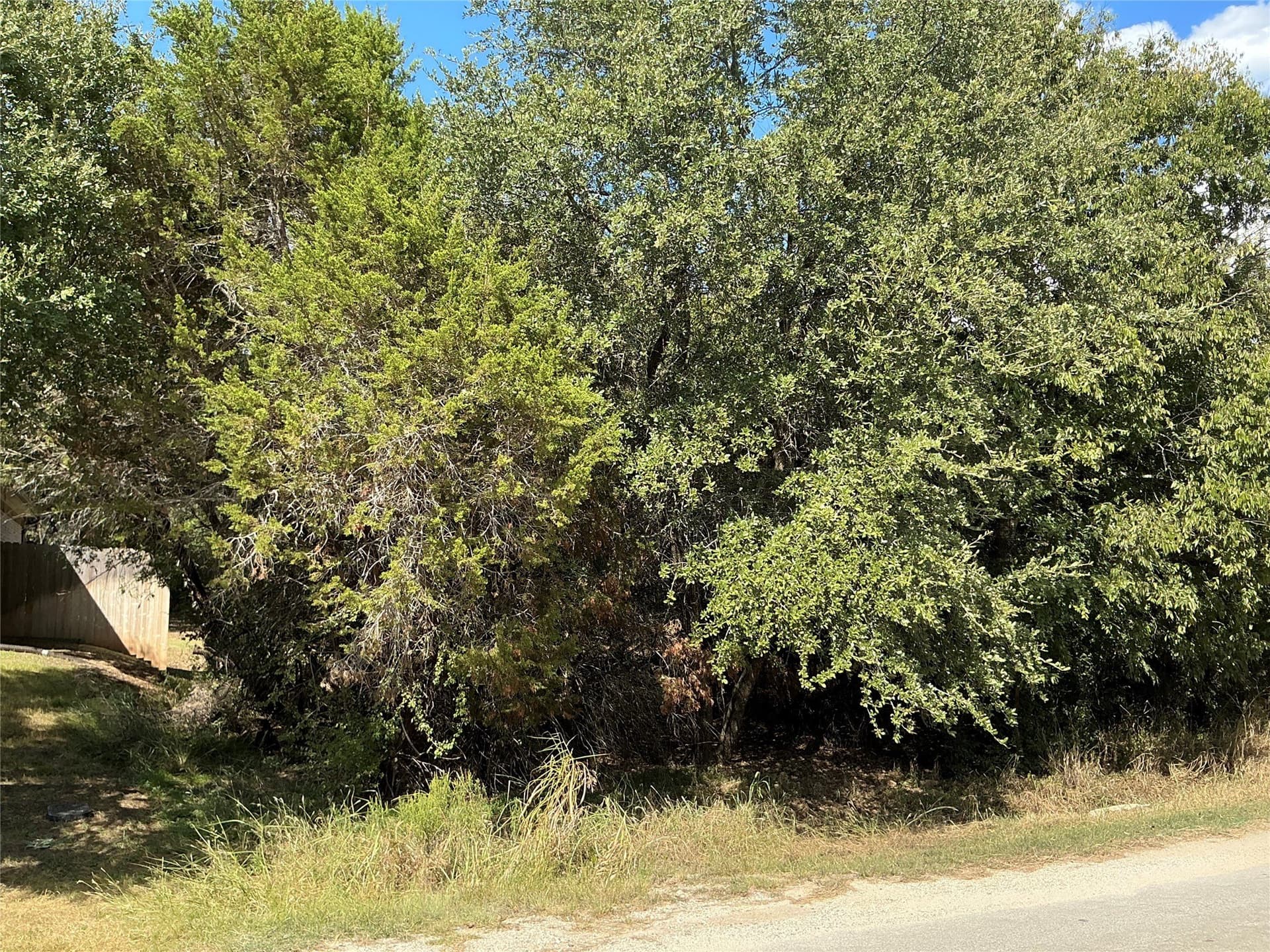 0.3 acres in Hill County - photo 9
