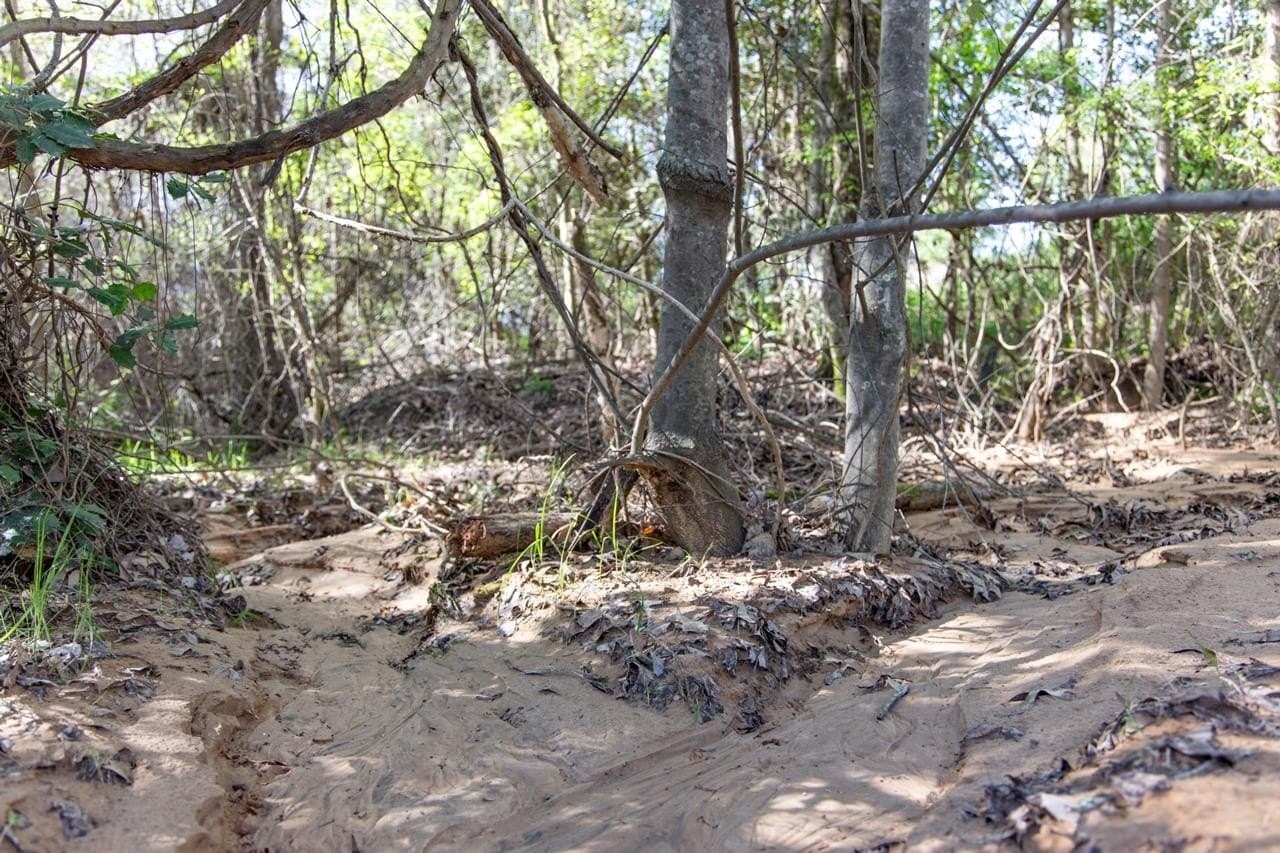 3.18 acres in Smith County featured view