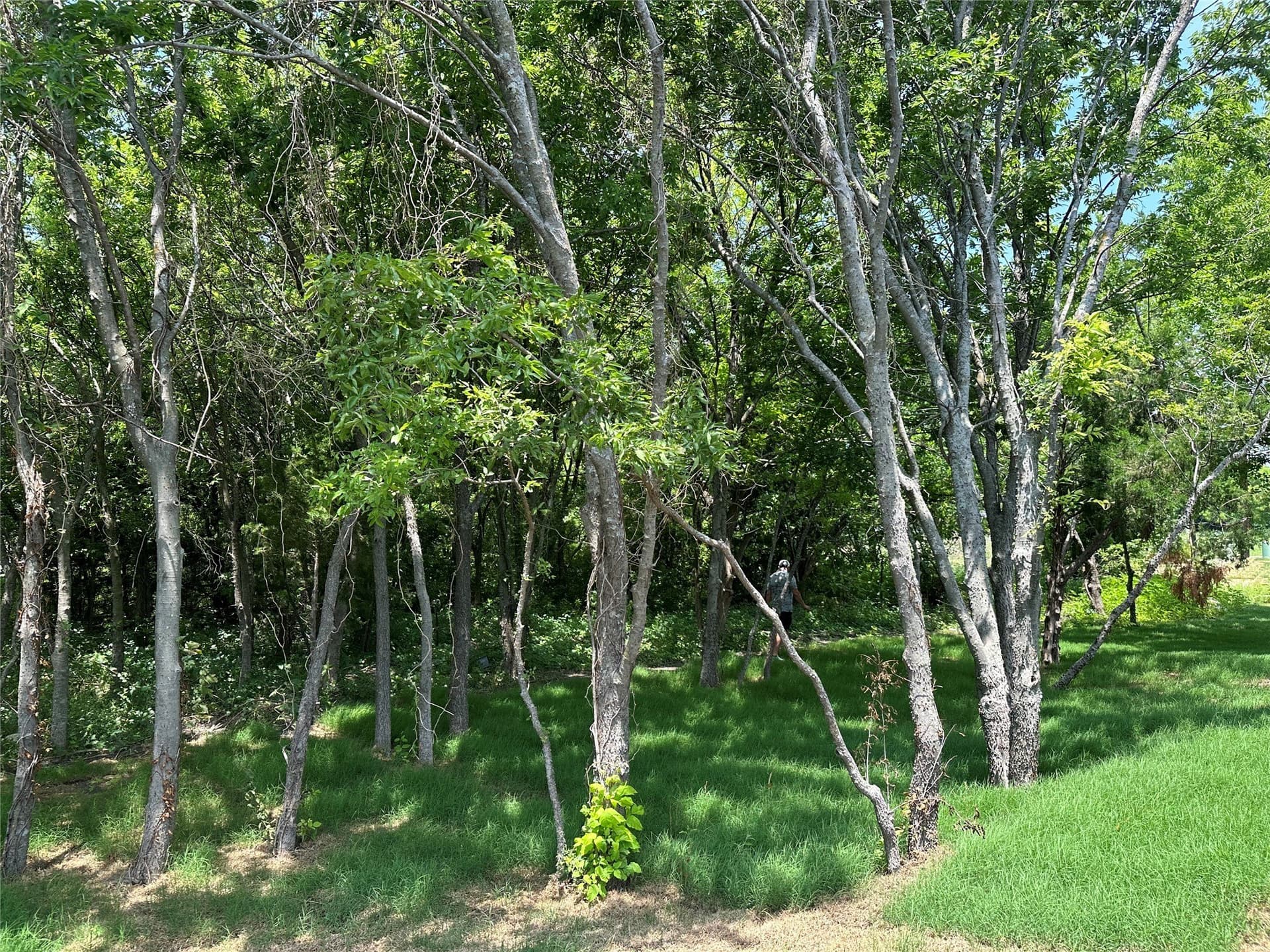 1.5 acres in Rockwall County - photo 4