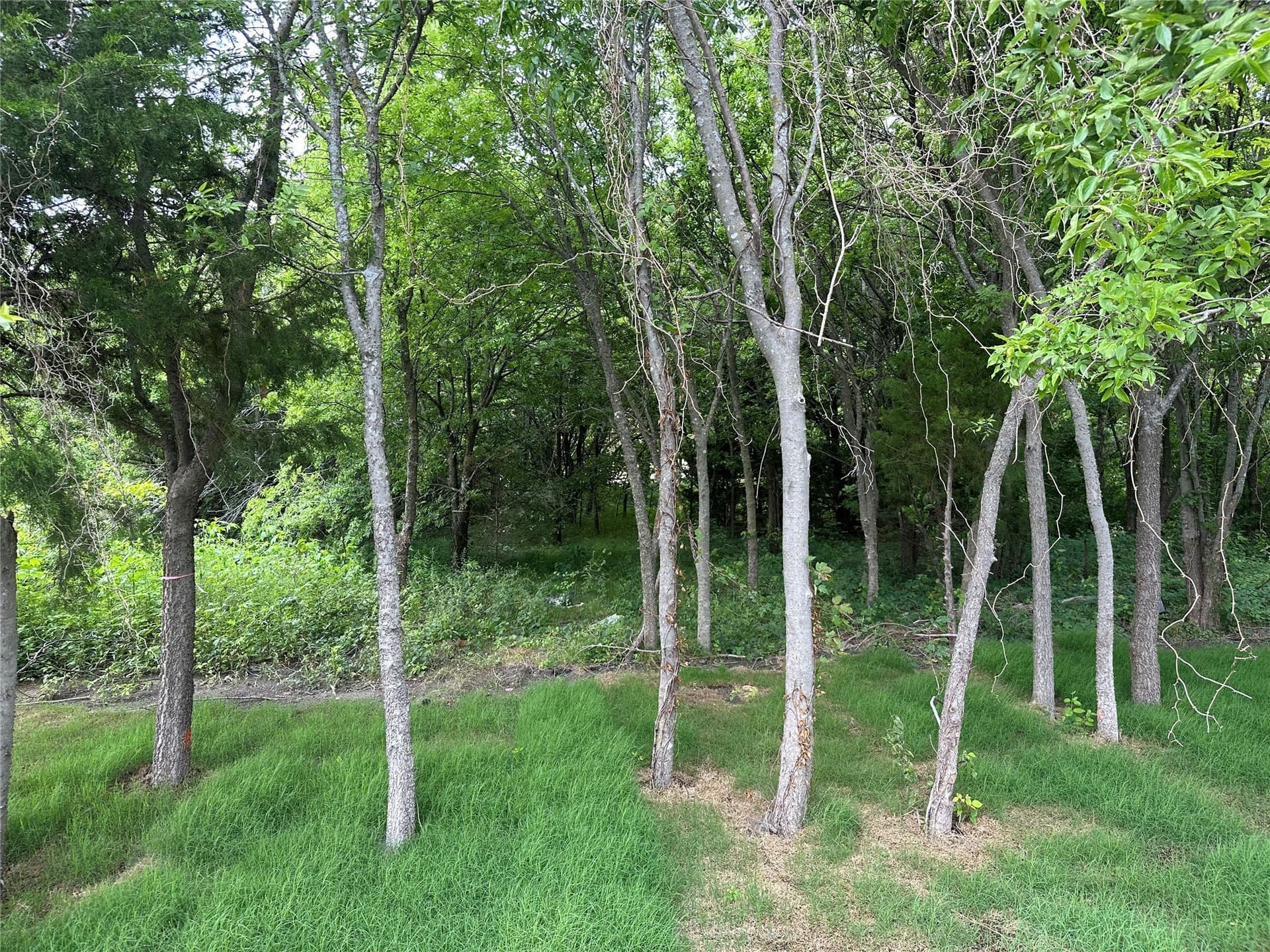 1.5 acres in Rockwall County - photo 6