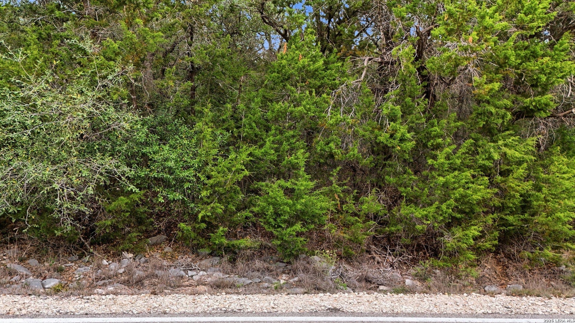 3.39 acres in Comal County - photo 6