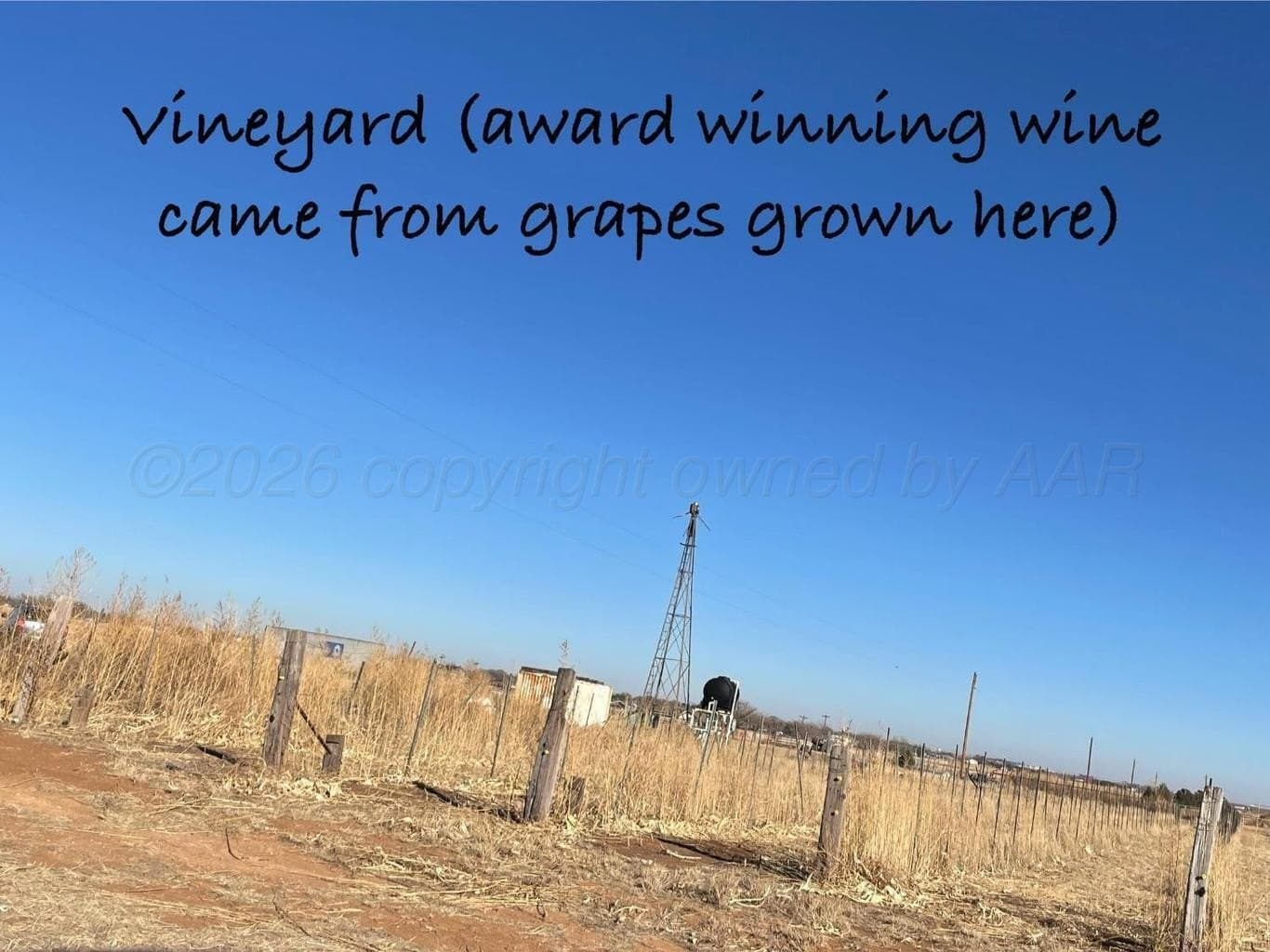 20.94 acres in Lubbock County - photo 2