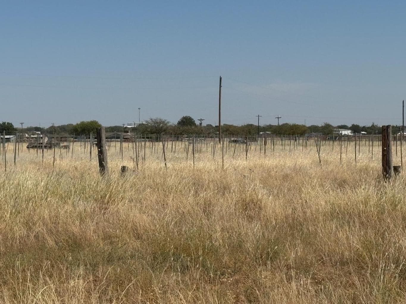 20.94 acres in Lubbock County - photo 6
