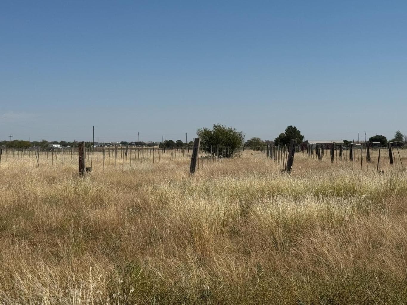 20.94 acres in Lubbock County - photo 3