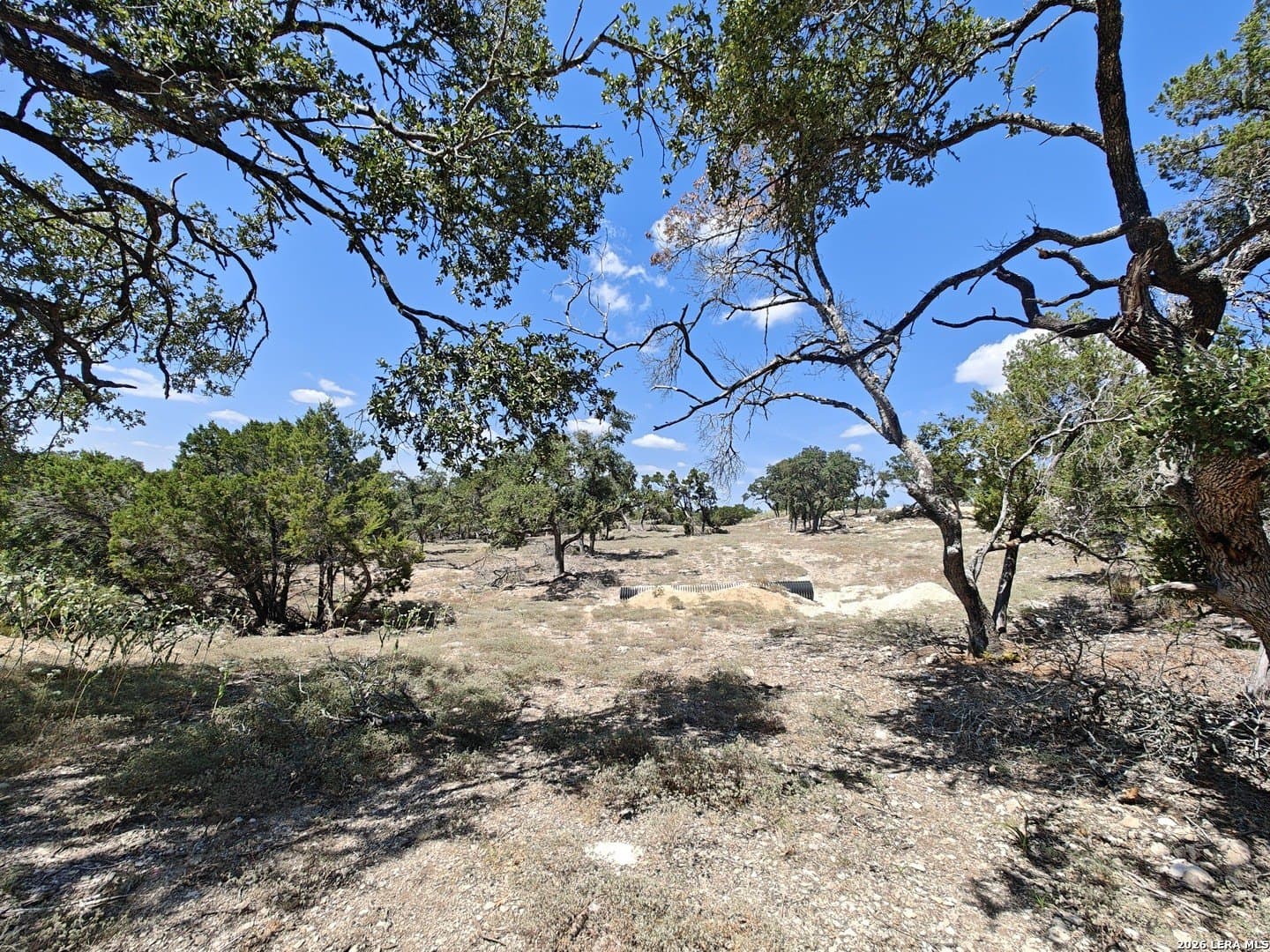 3.86 acres in Comal County gallery image 2