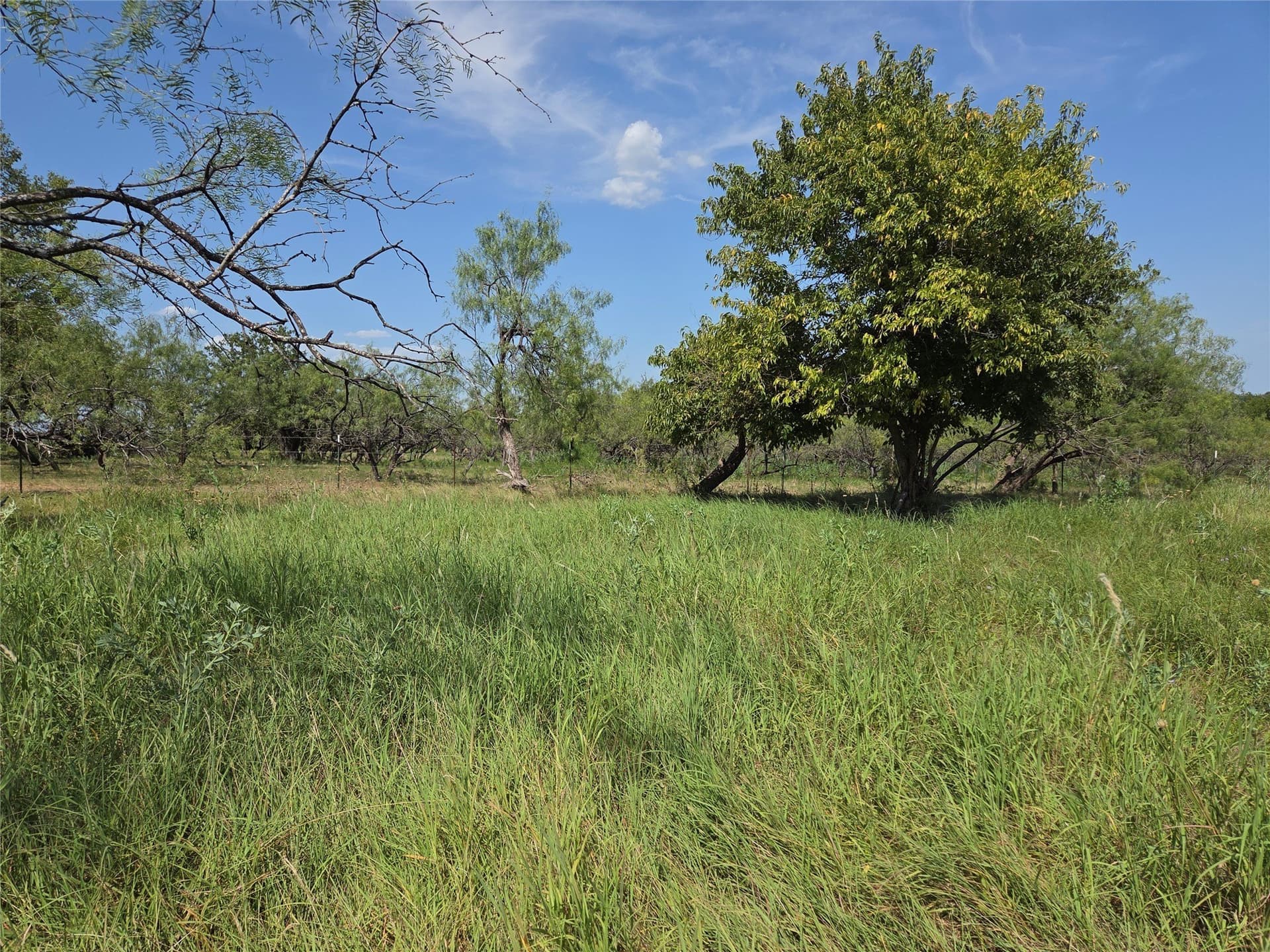 2.98 acres in Navarro County - photo 39
