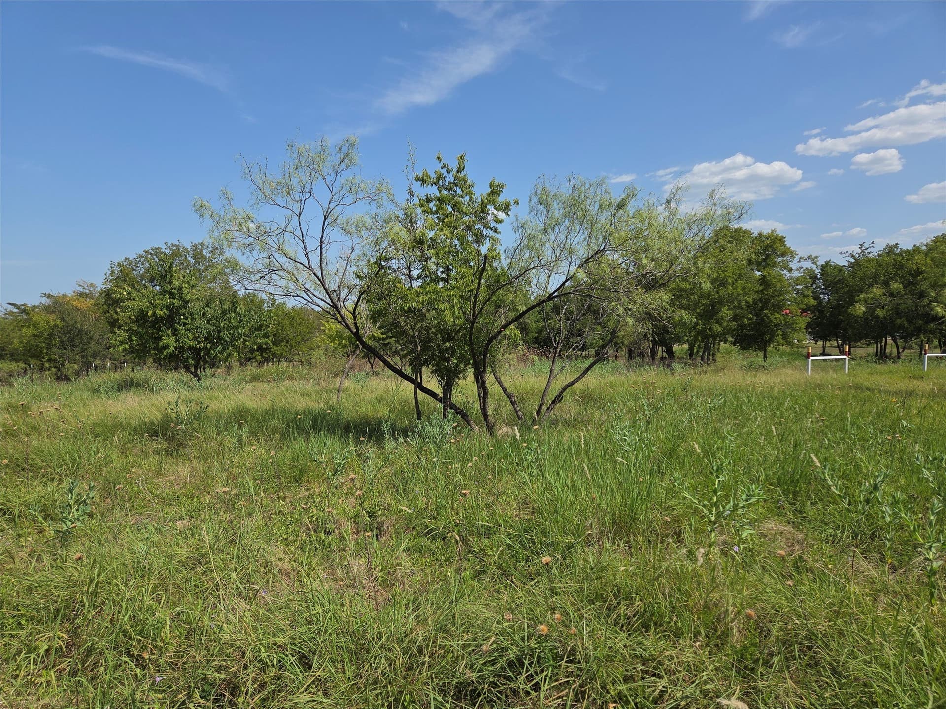 2.98 acres in Navarro County - photo 22