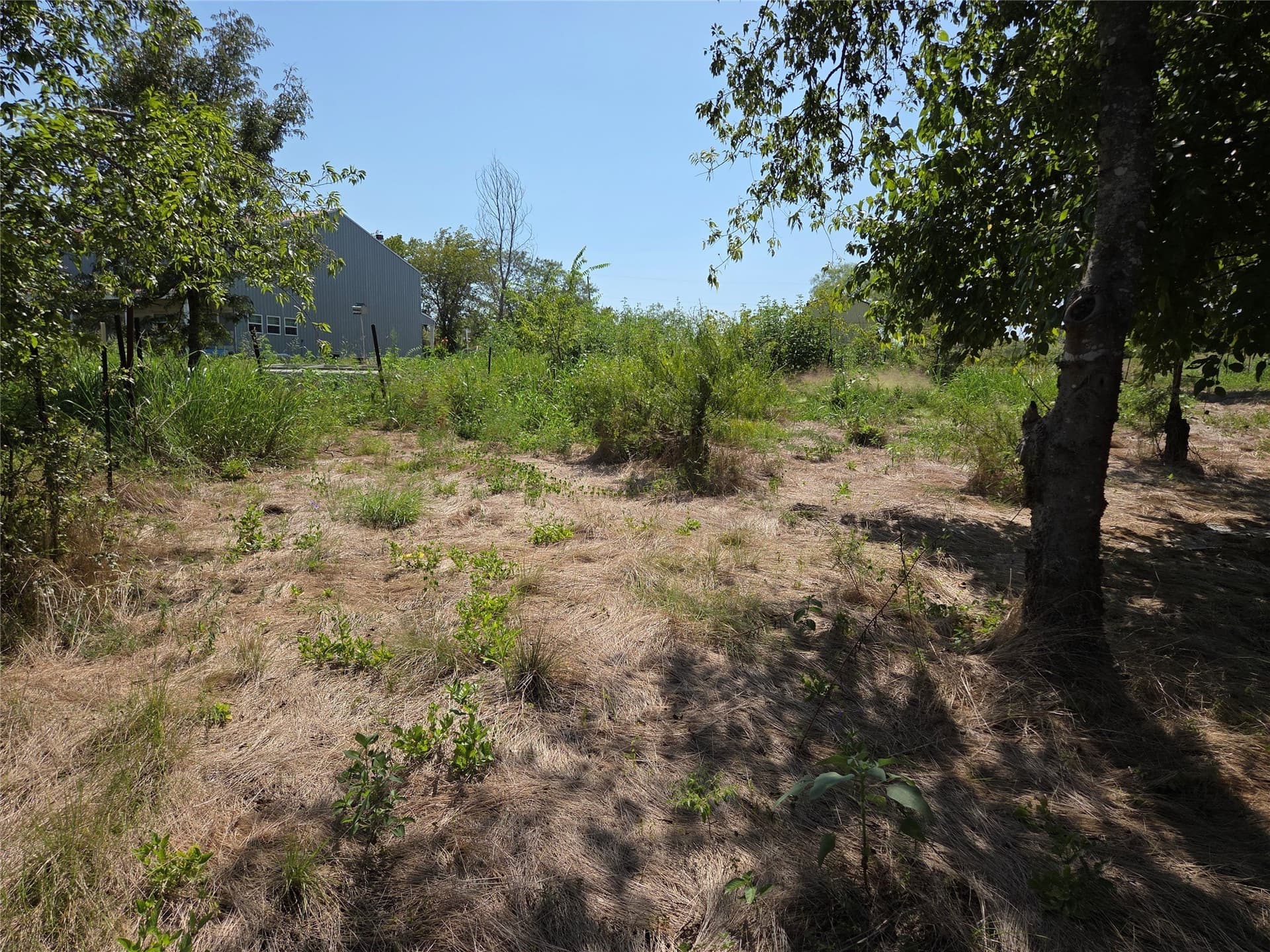 2.98 acres in Navarro County - photo 11