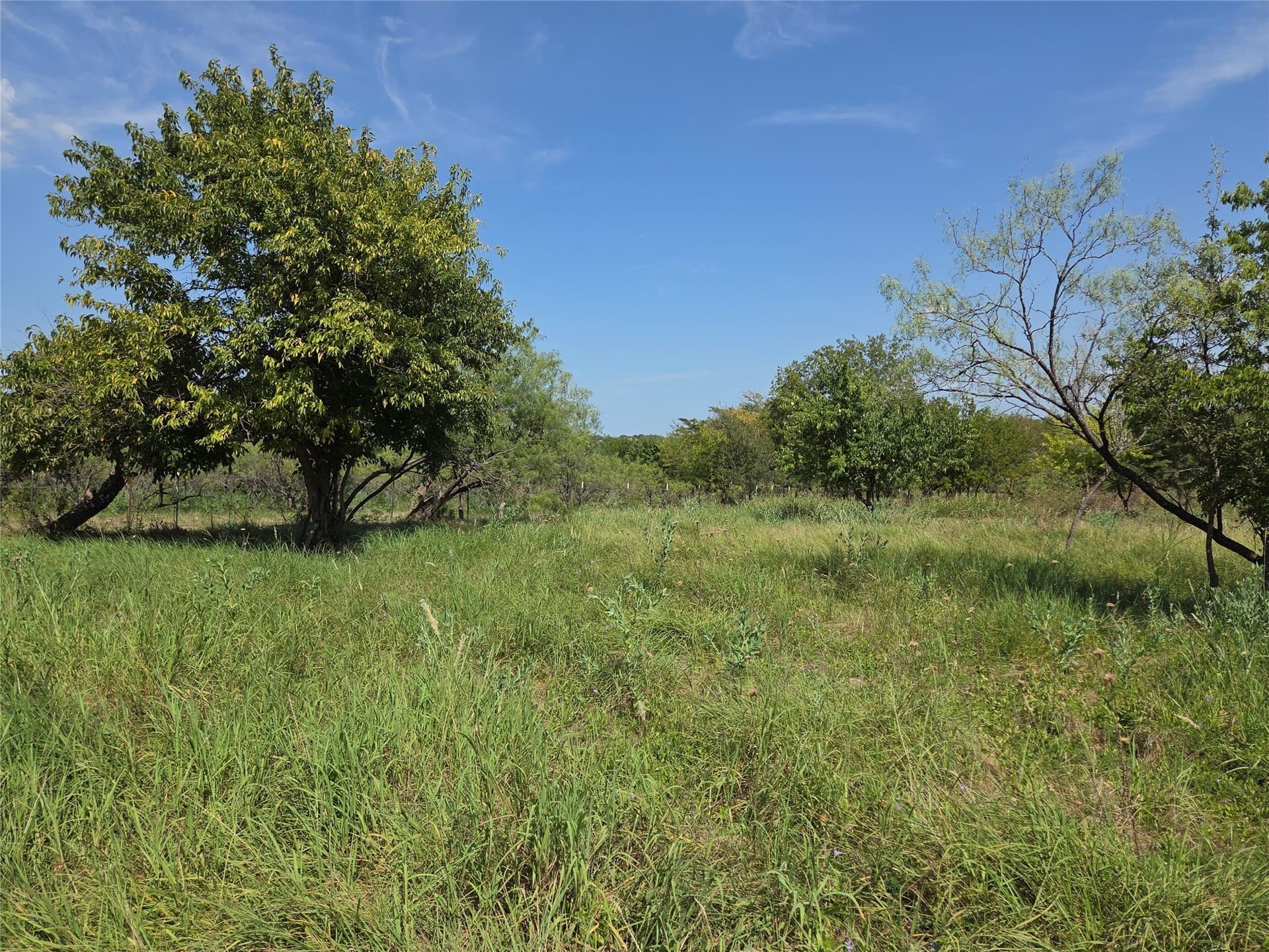 2.98 acres in Navarro County - photo 17