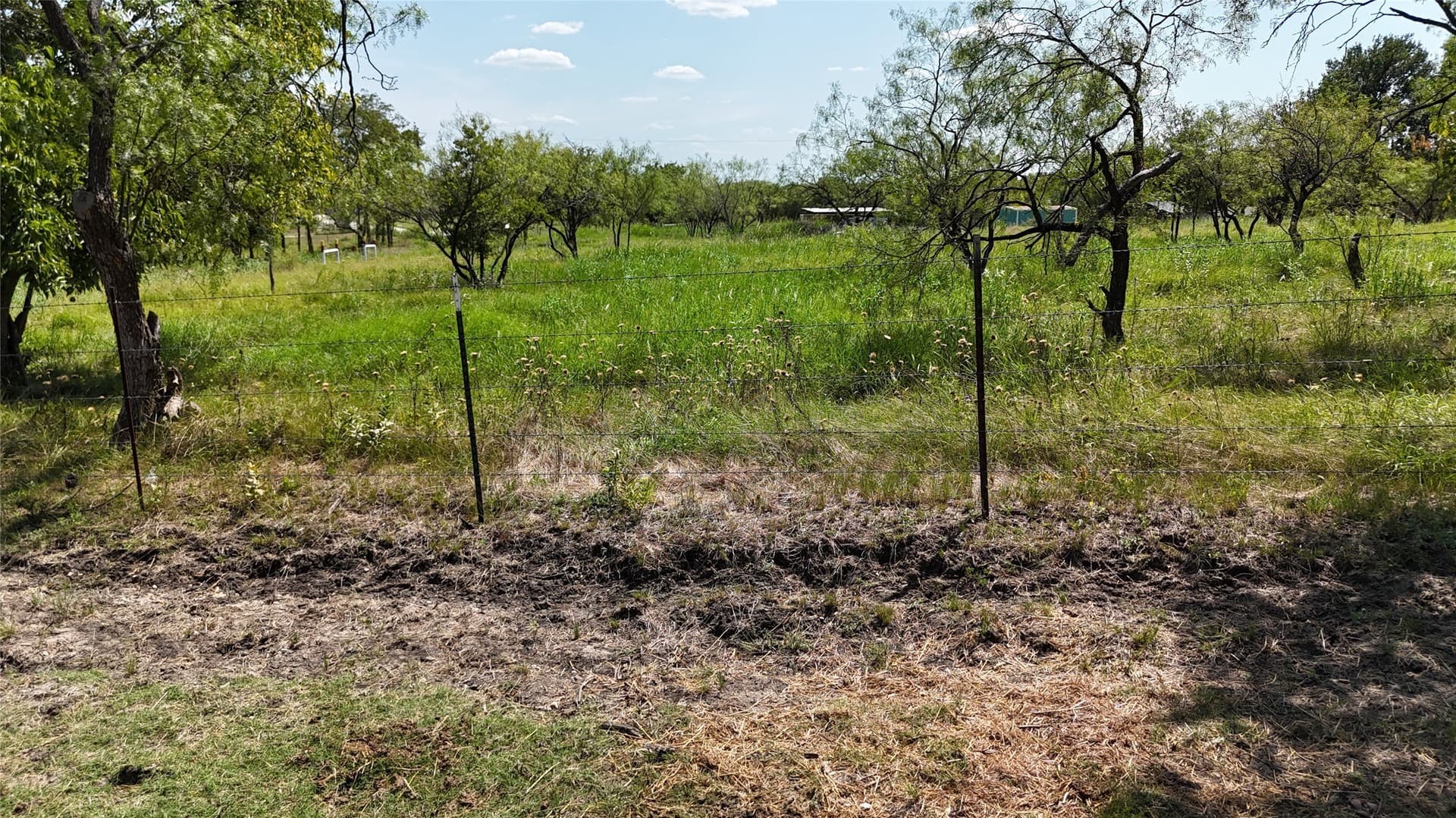 2.98 acres in Navarro County - photo 20