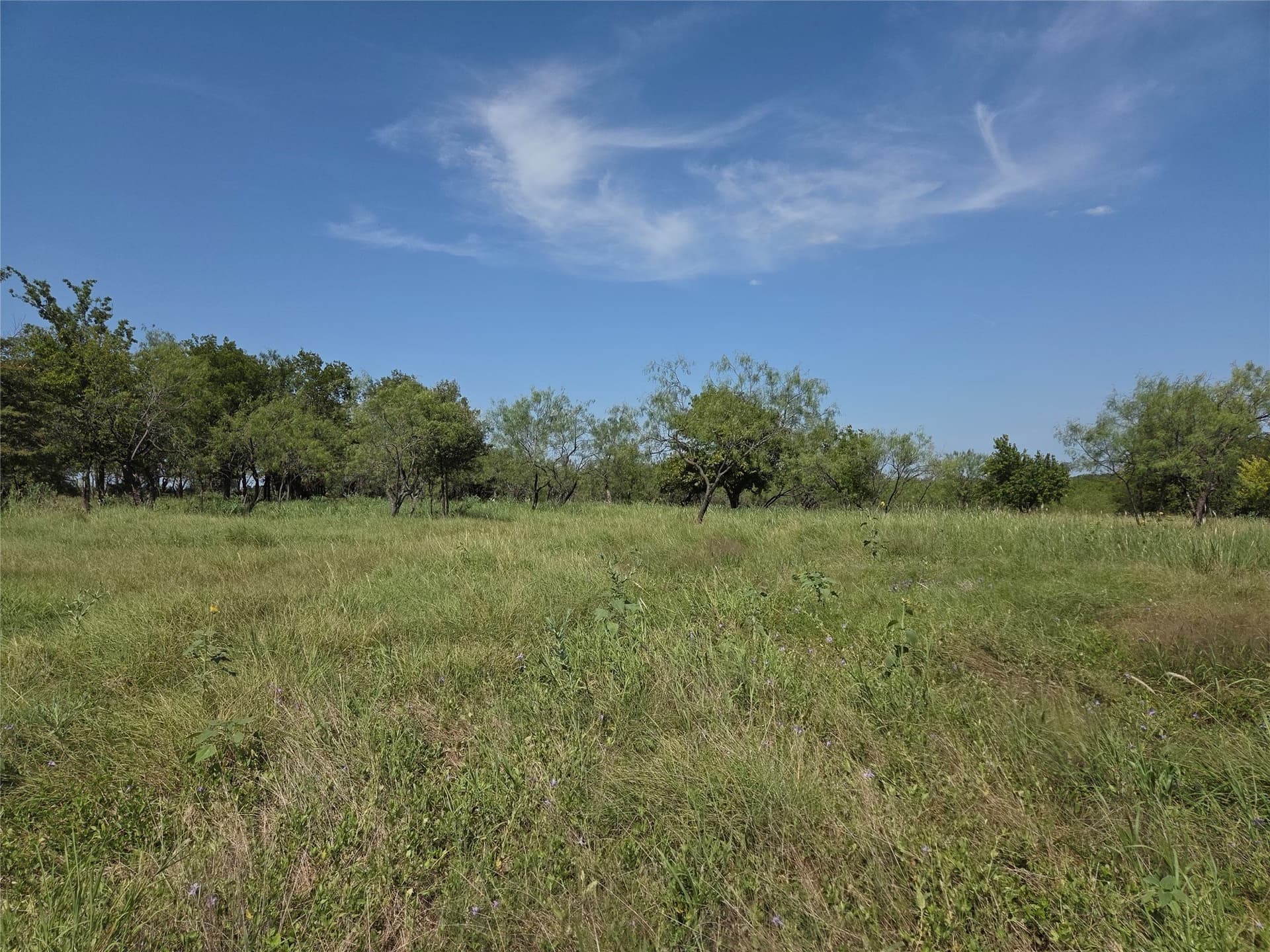2.98 acres in Navarro County - photo 23