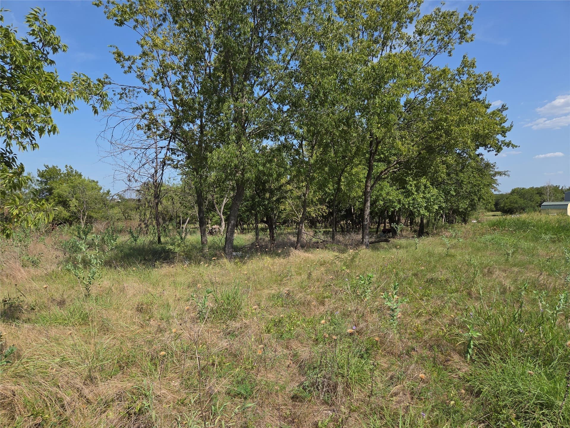 2.98 acres in Navarro County - photo 36